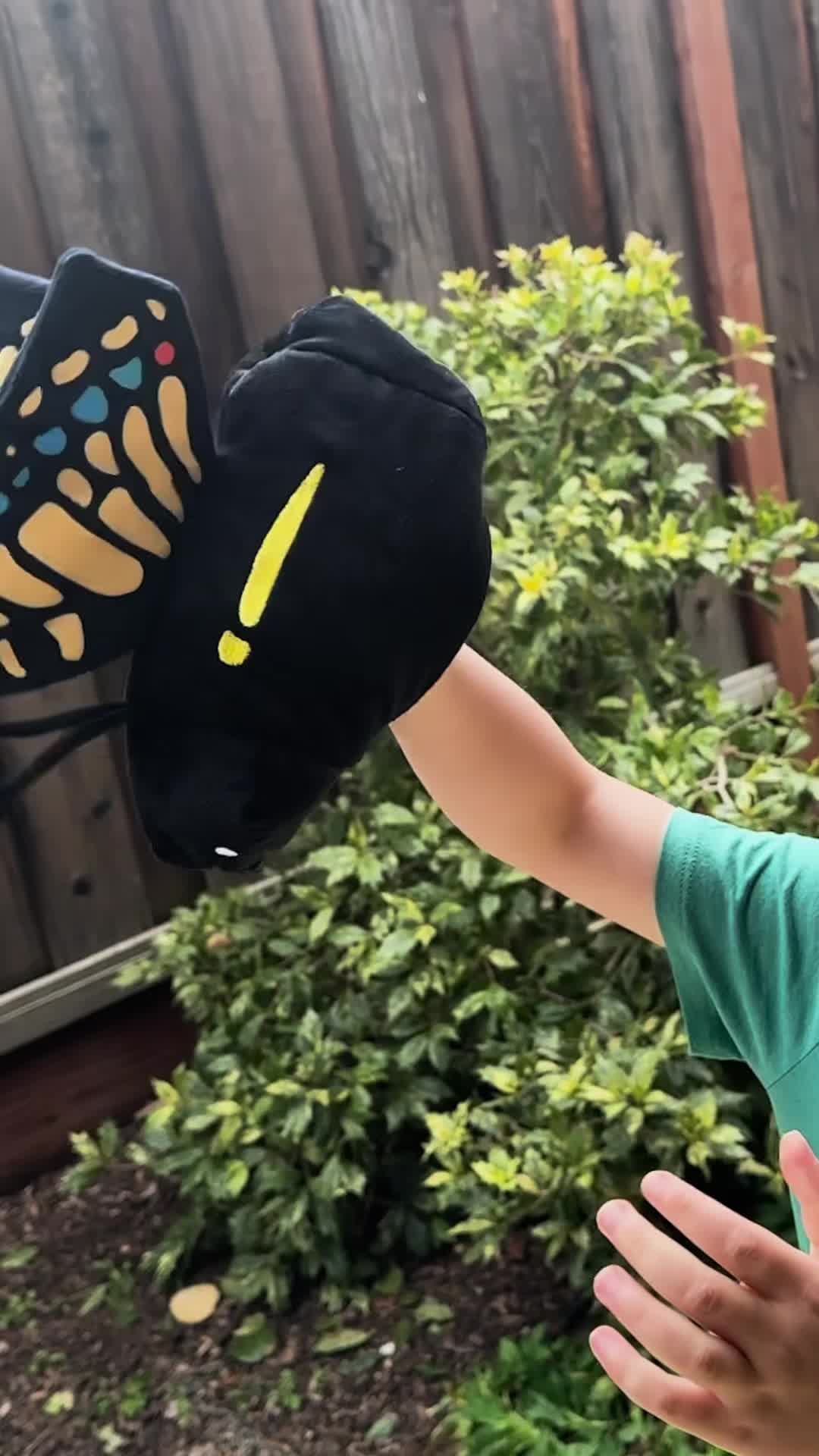 KiwiCo Facebook ad: Butterflies and Caterpillars