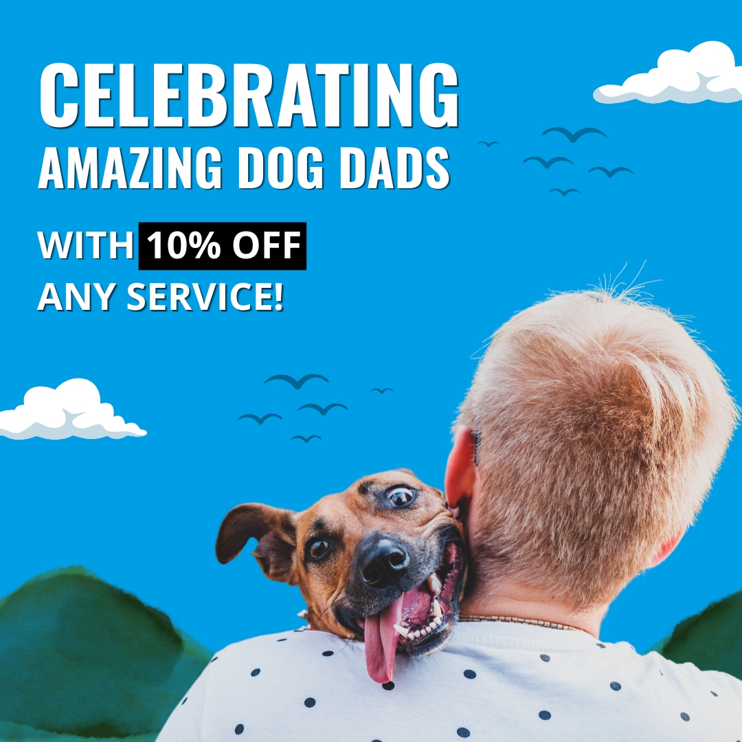 Barer Pet Behavior Consulting & Dog Training Facebook ad
