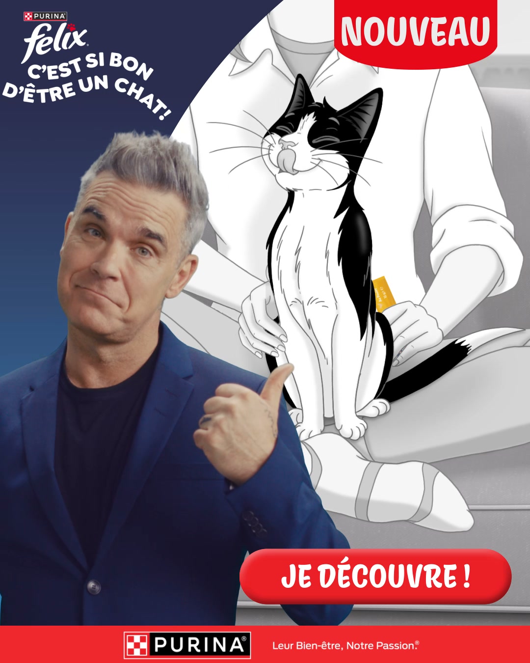 Purina FELIX Facebook ad from Aug 17, 2026