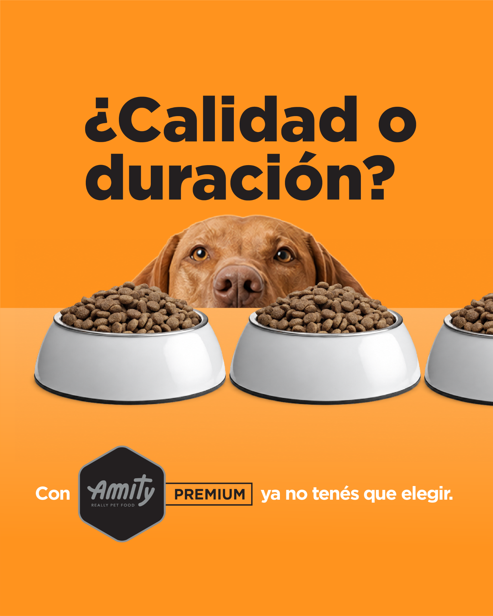 Amity Pet Food CR Facebook ad: Chat with us