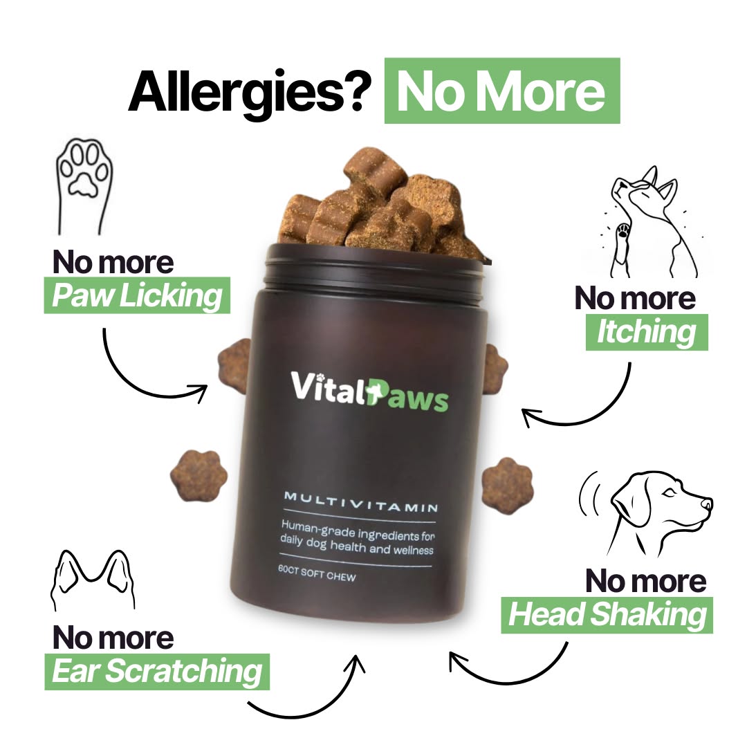 VitalPaws Facebook ad