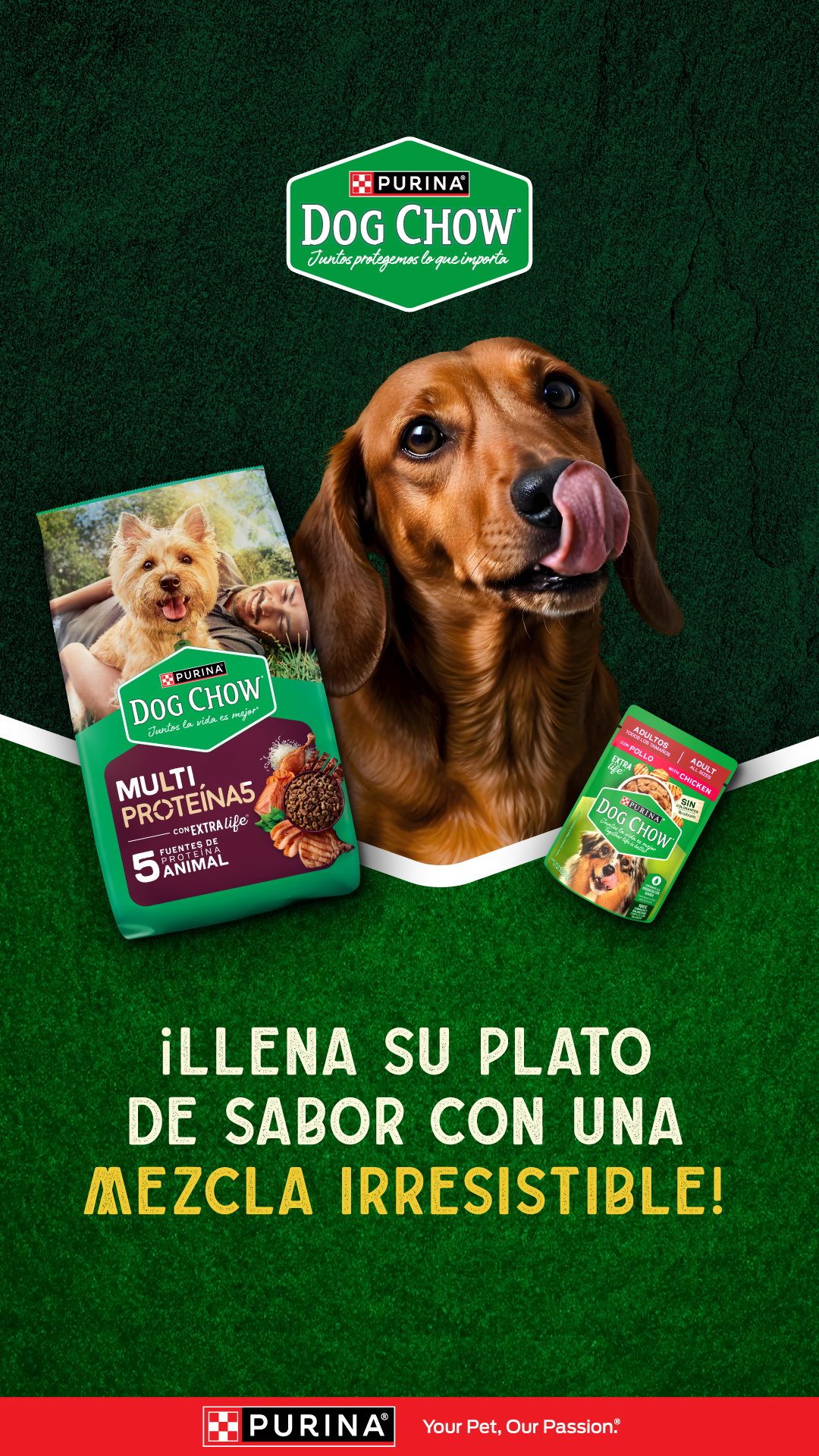 Purina Dog Chow Centroamérica Facebook ad