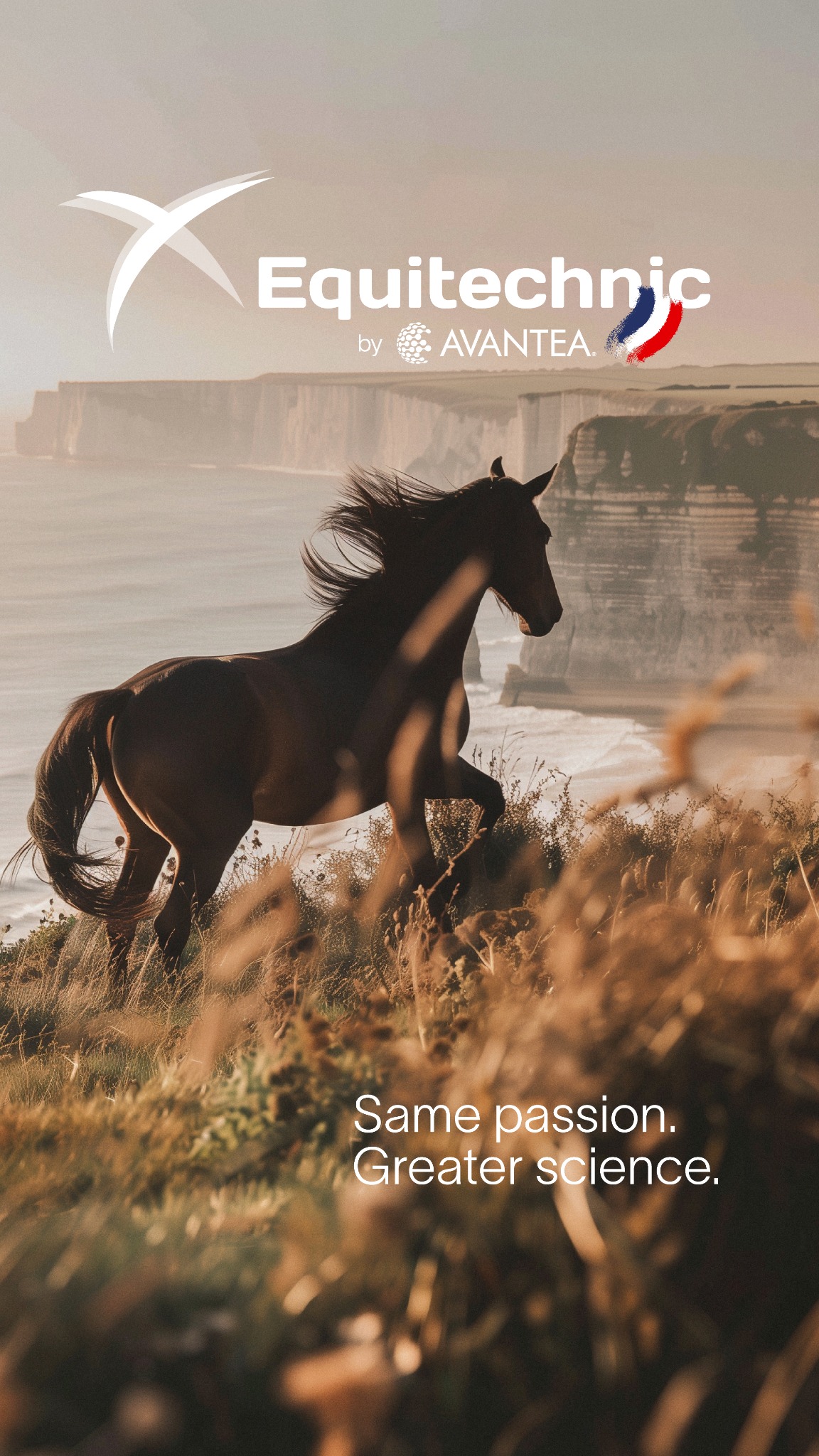 Avantea - Equine Assisted Reproduction Facebook ad: Contacts | Avantea