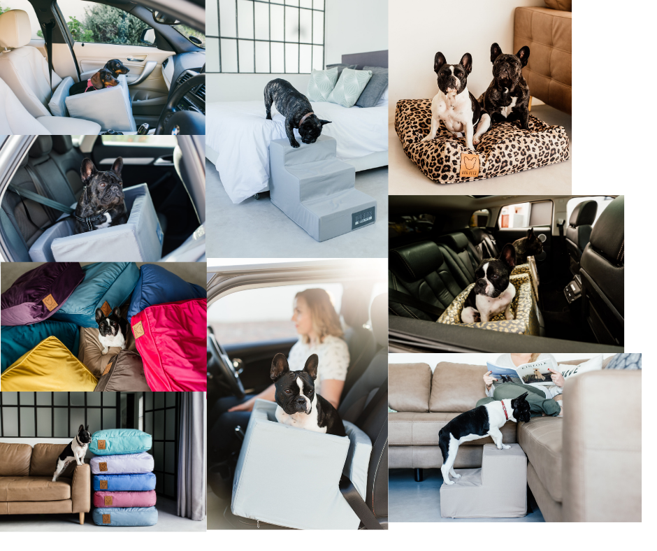 Ora Pets Facebook ad