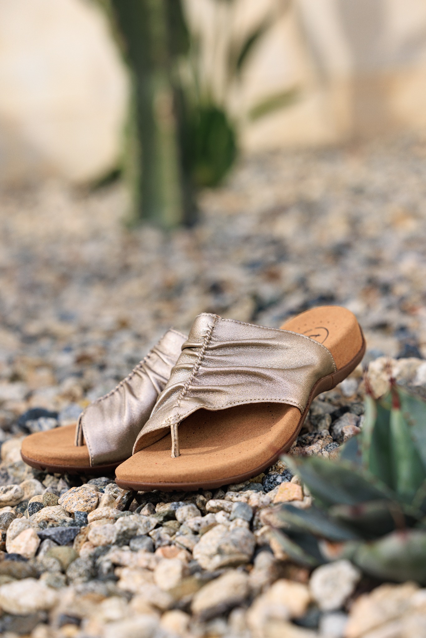 Taos Footwear Canada Facebook ad