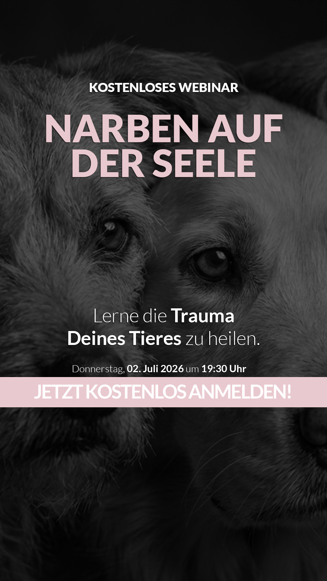 Tierkommunikation Lisa-Maria Kastenberger Facebook ad
