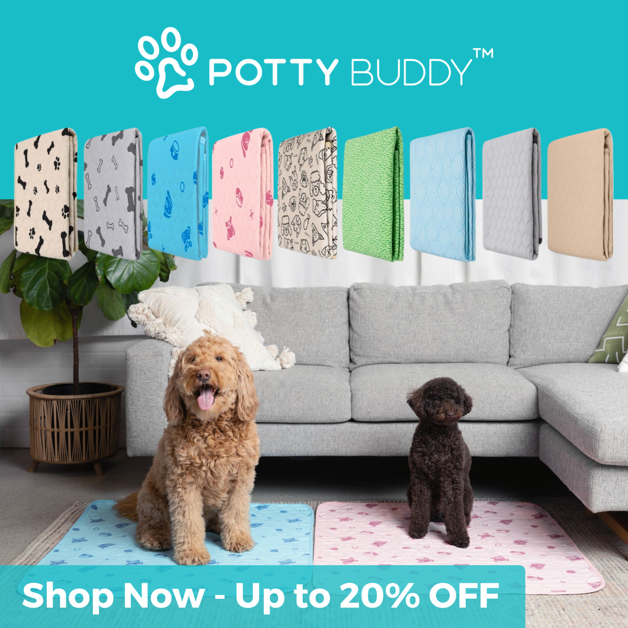Potty Buddy Facebook ad