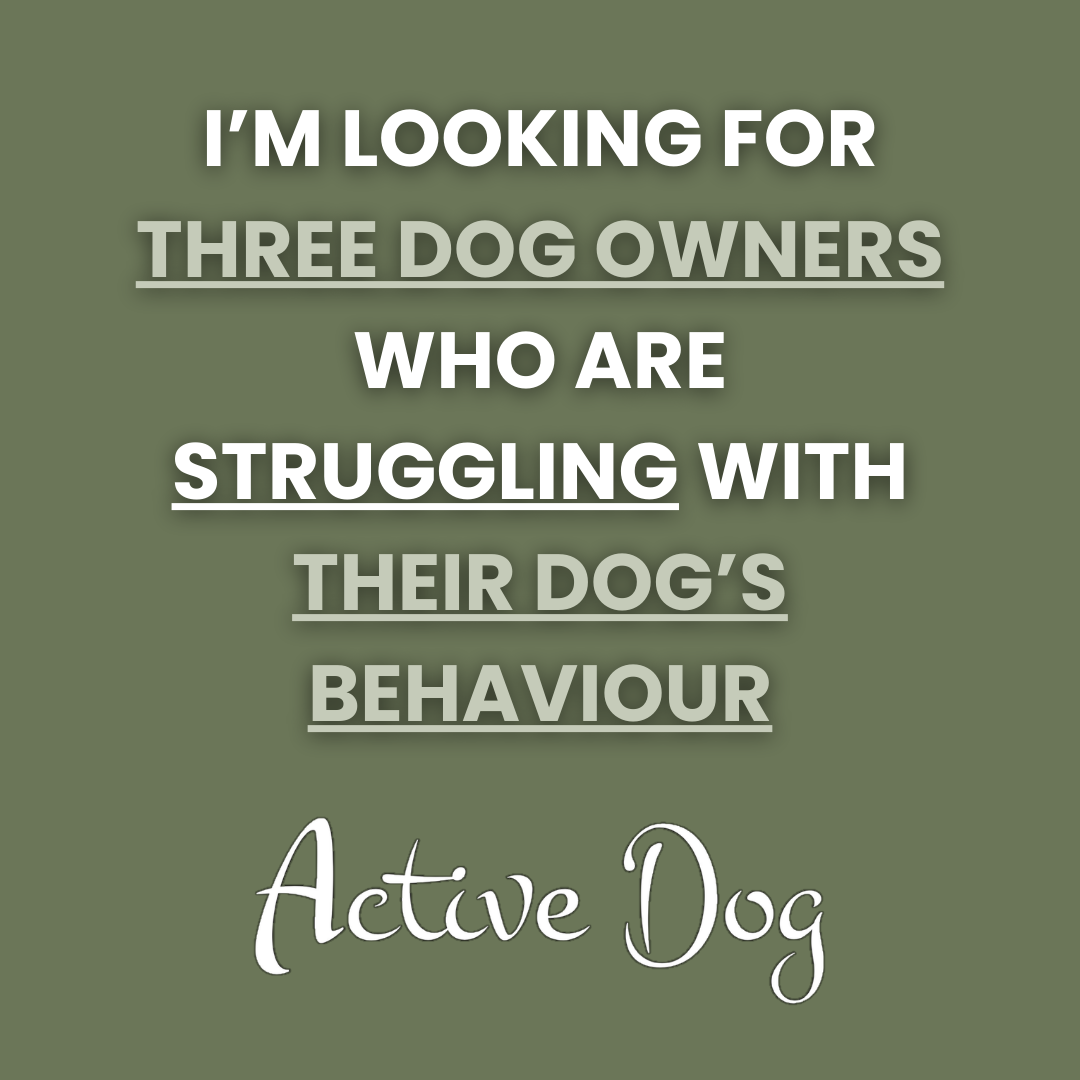 Active Dog - Behaviour & Training Facebook ad: Struggling With Your Dog’s Behaviour?
