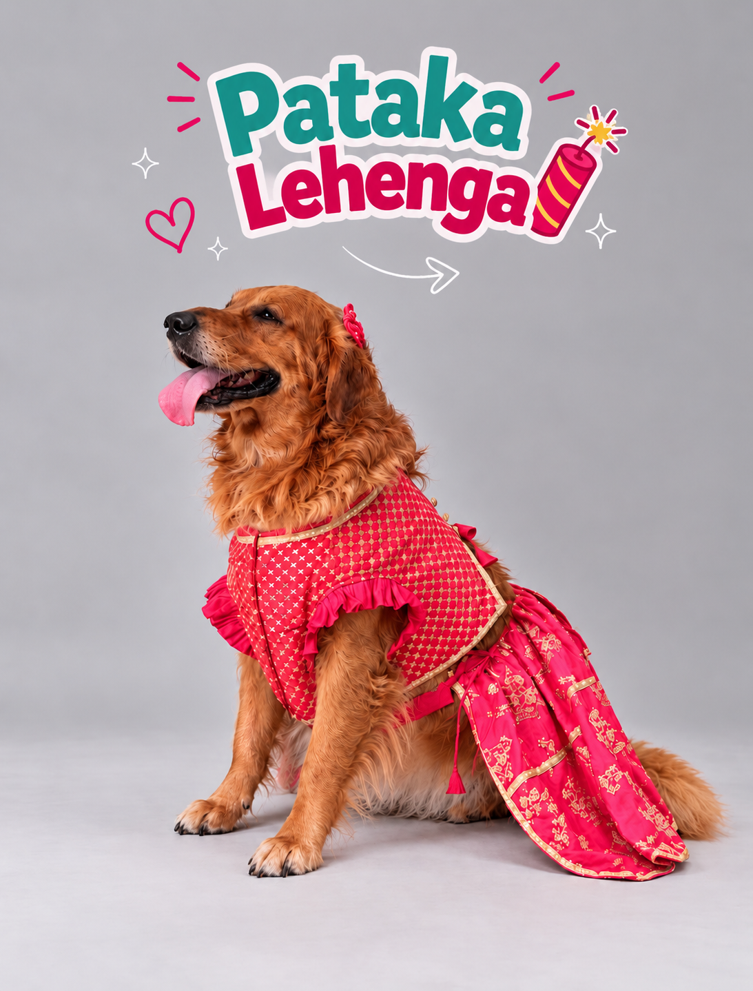 Boofbybella Facebook ad: Because festivals feels brighter when your fur baby…