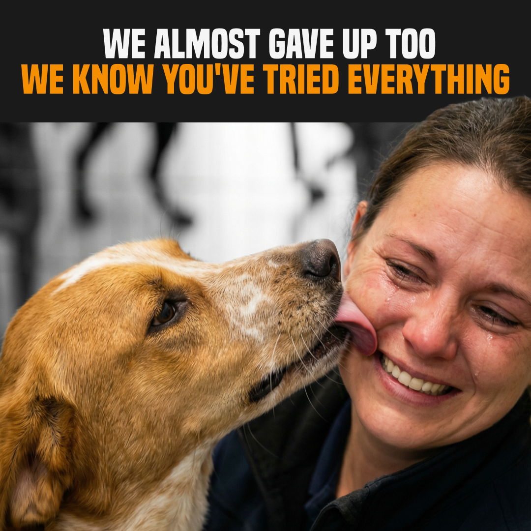 PuppyPad Facebook ad