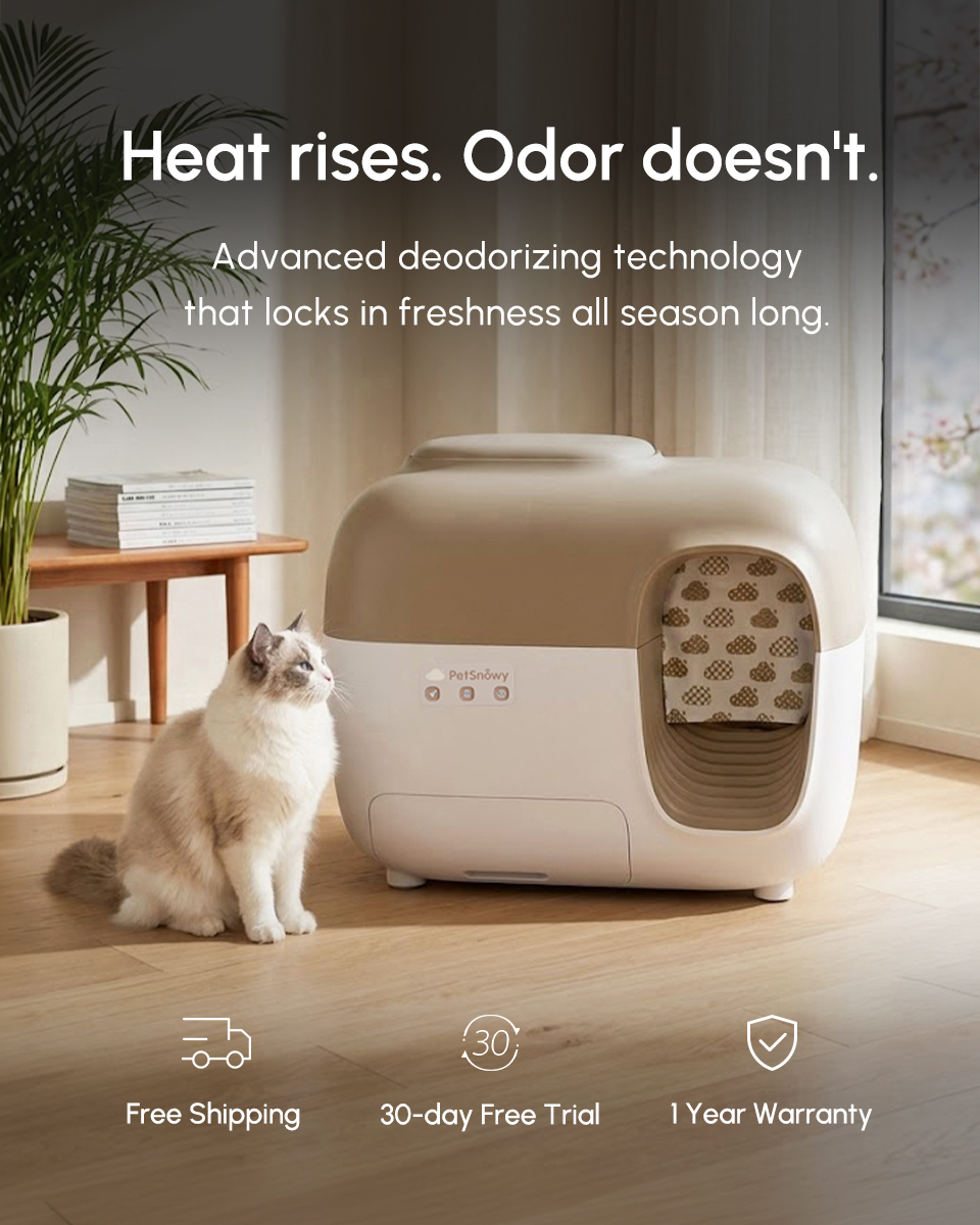 PetSnowy Facebook ad