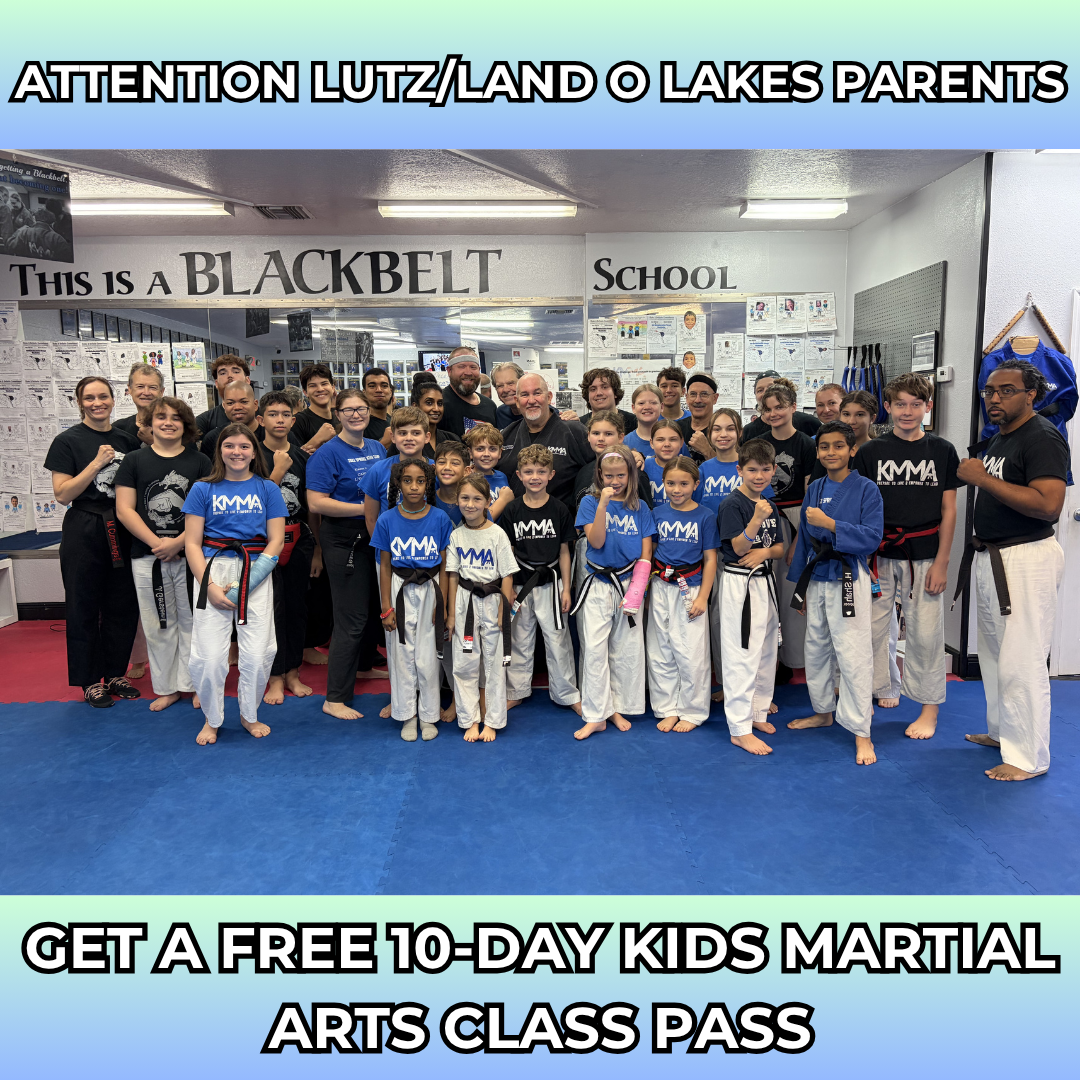 Krav Maga Martial Arts Facebook ad: Want a FREE 10-Day, Kids Martial Arts Class Pass?