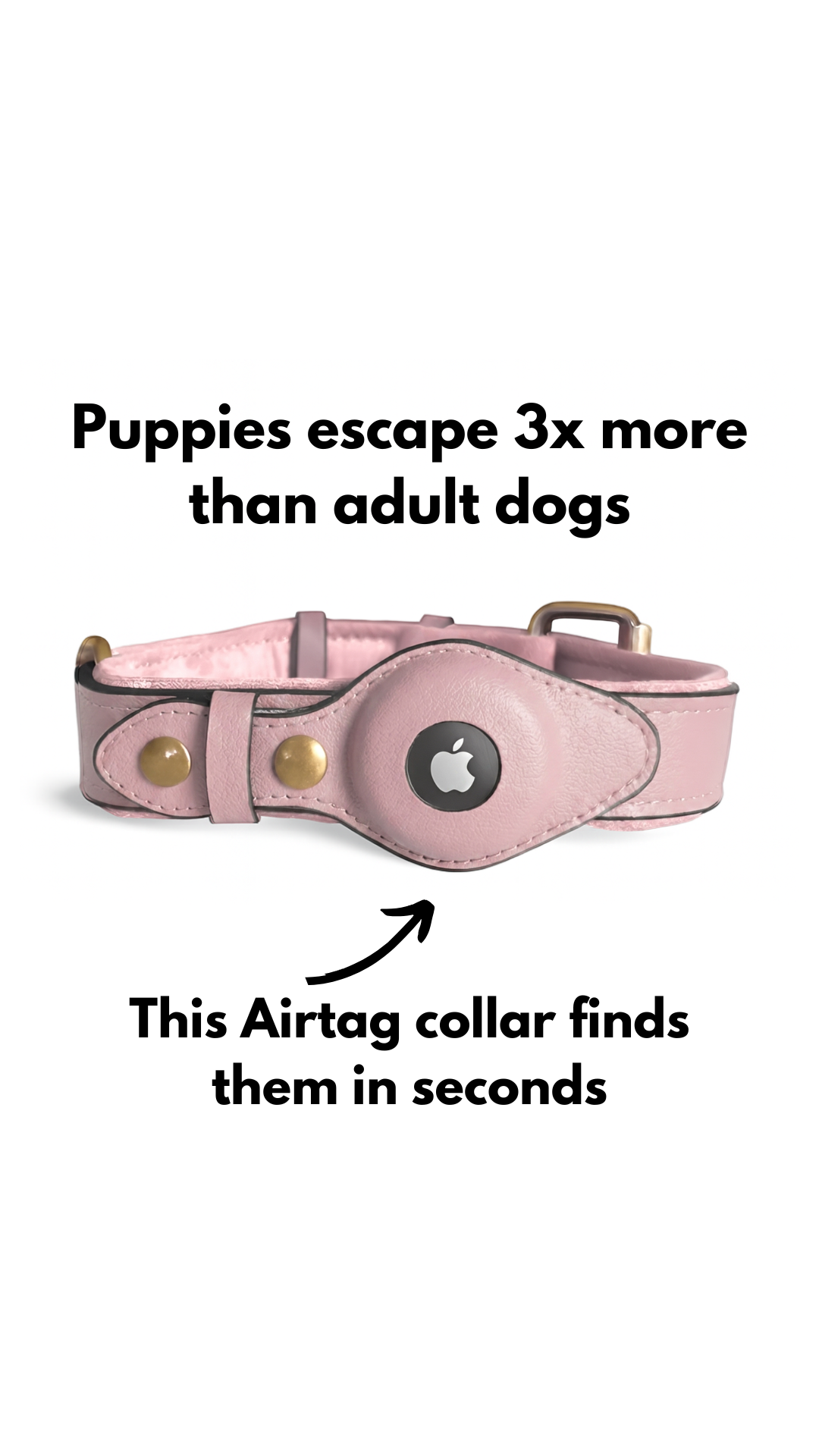 Collar Spot Facebook ad