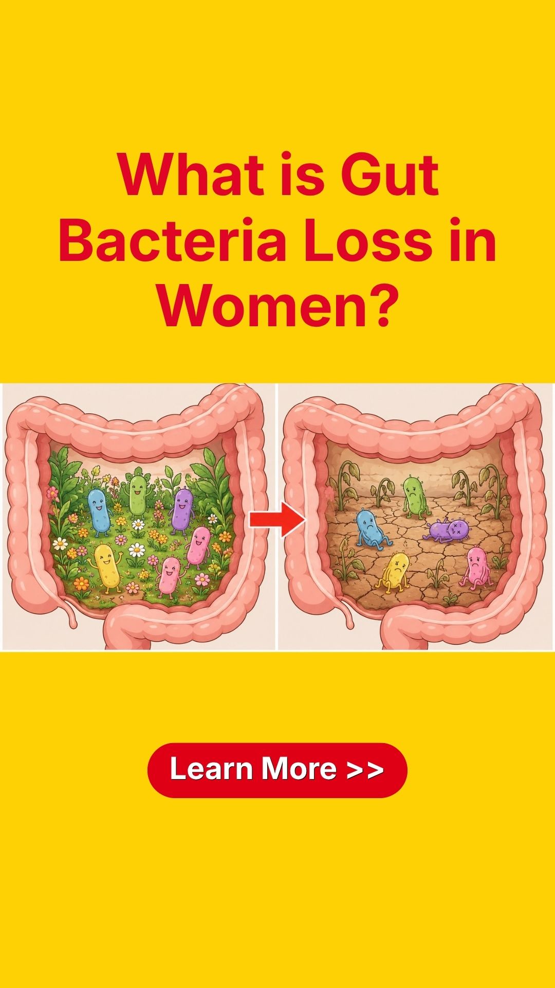 Beyond The Bloat Facebook ad