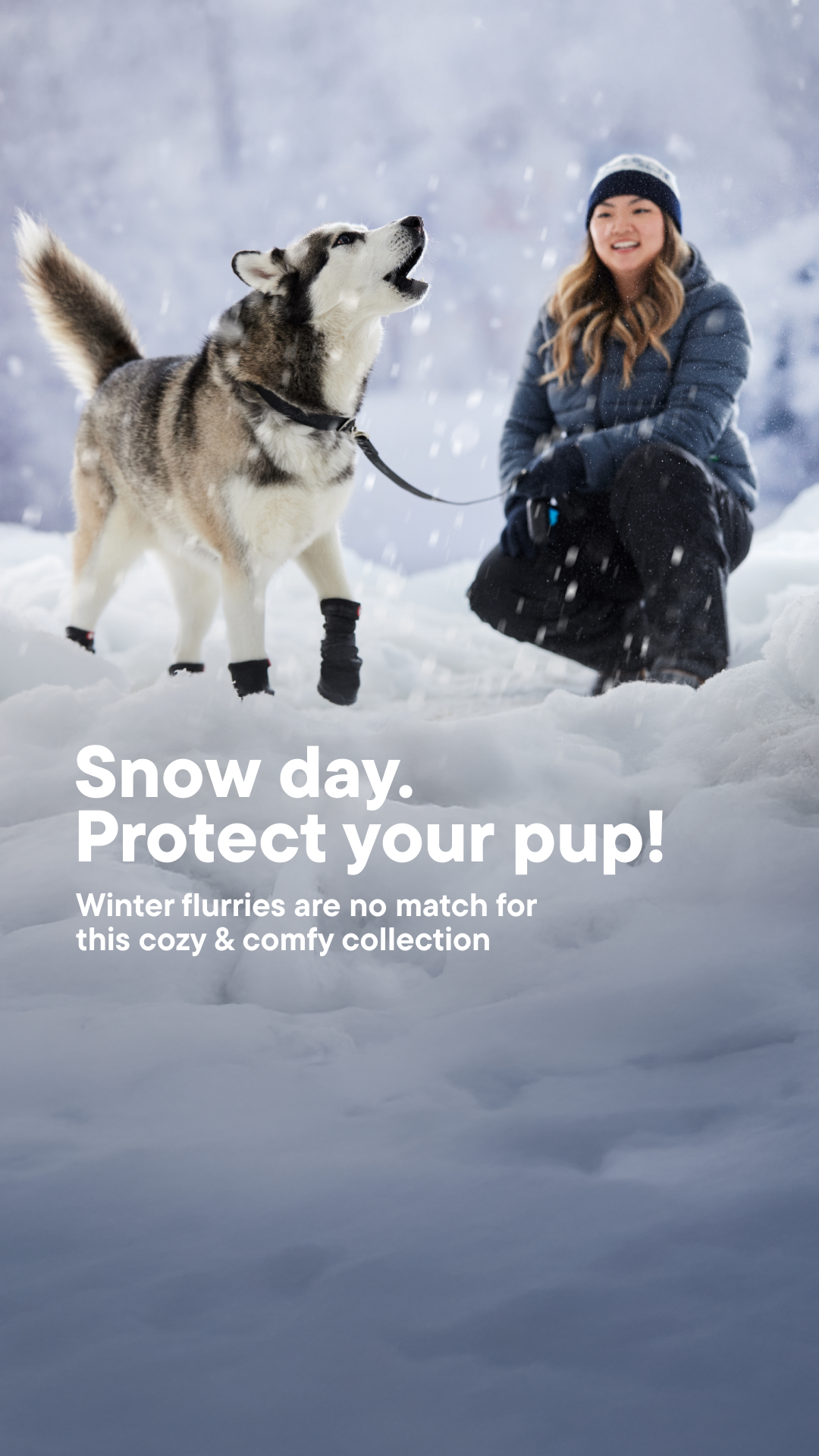 Pet Valu Facebook ad