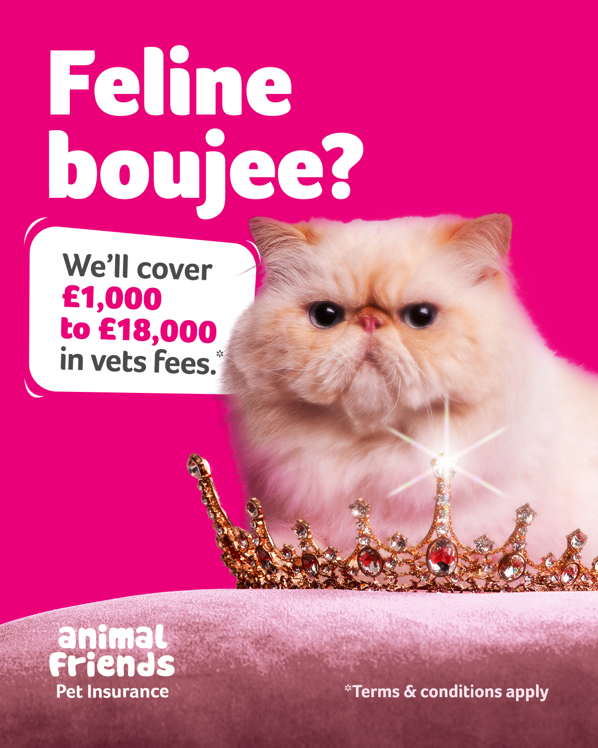 Animal Friends Pet Insurance Facebook ad
