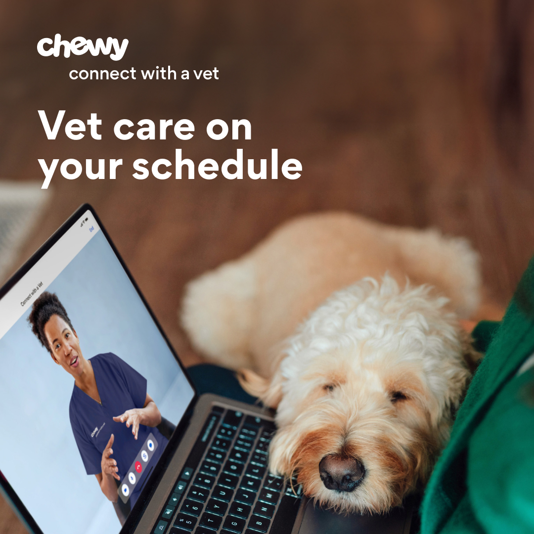 Chewy Facebook ad