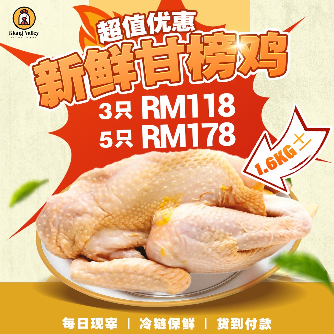 Klang Valley Chicken Delivery Facebook ad: 每日现宰 | 冷链保鲜 | 货到付款