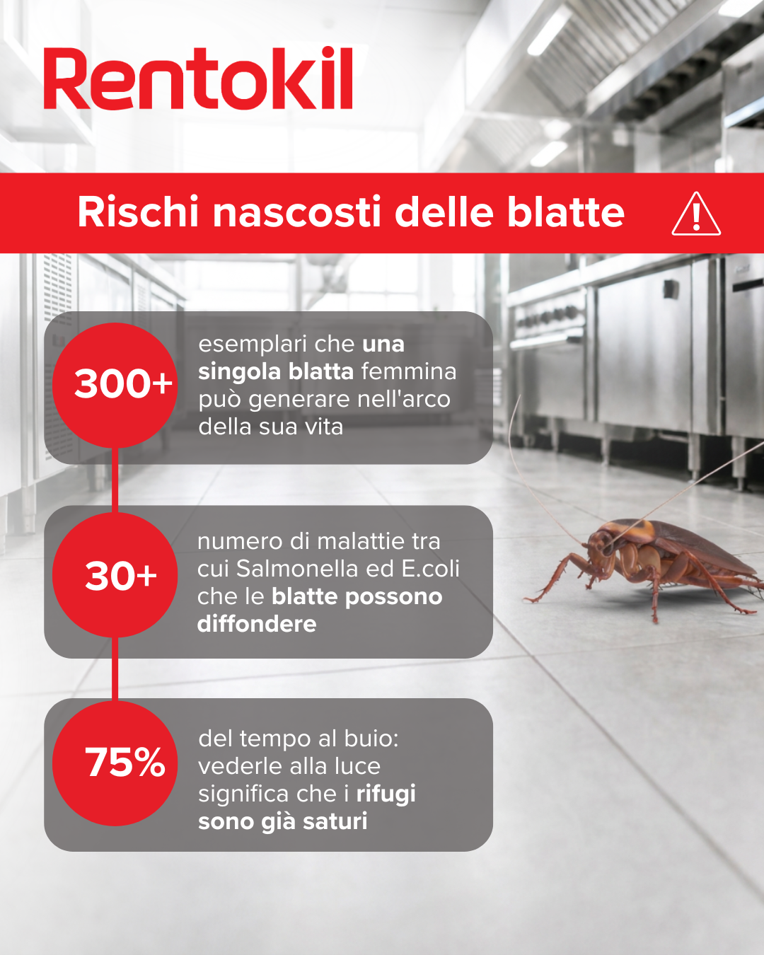Rentokil Italia Facebook ad: Rischi nascosti delle blatte: quello che non vedi.