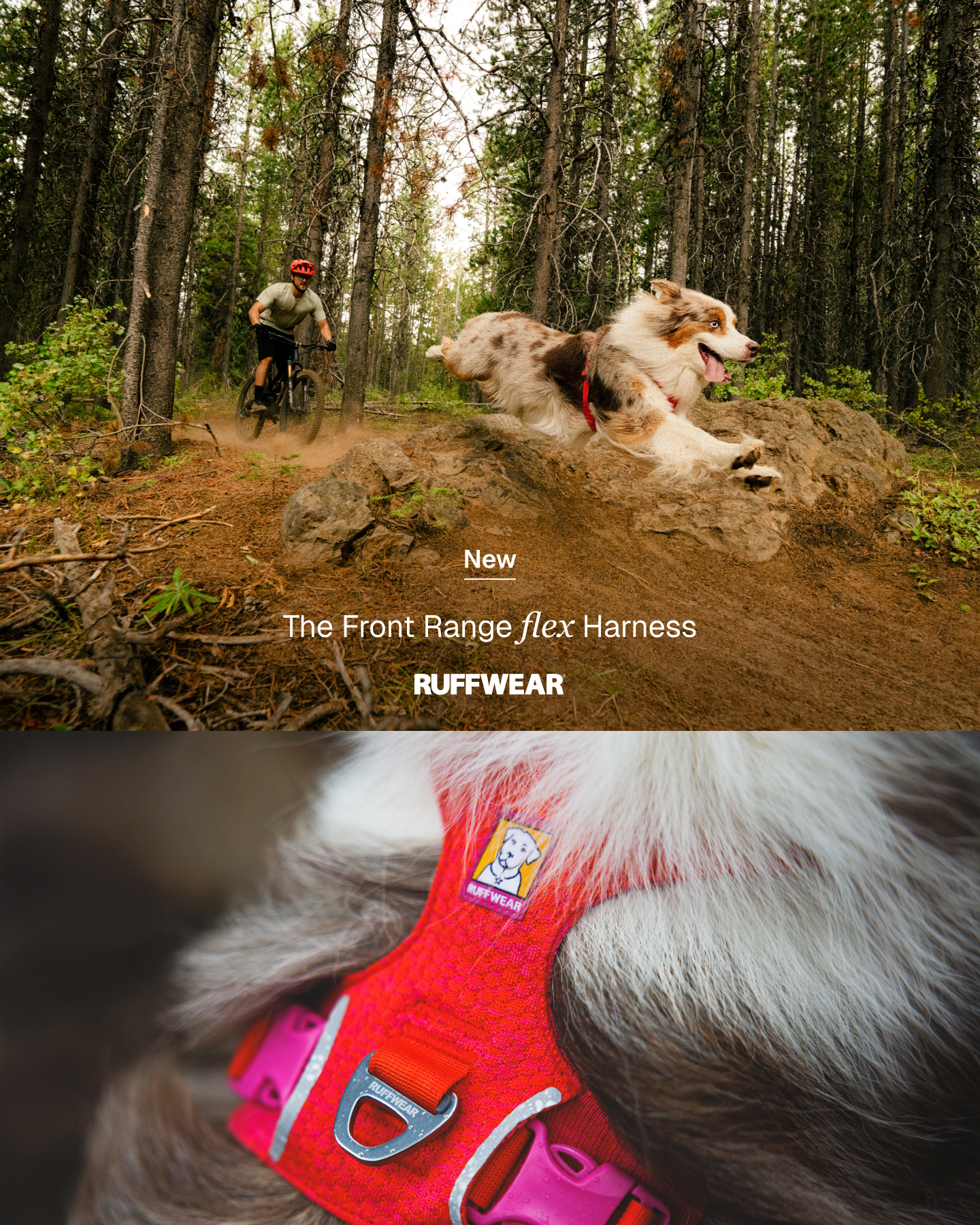 Ruffwear Facebook ad