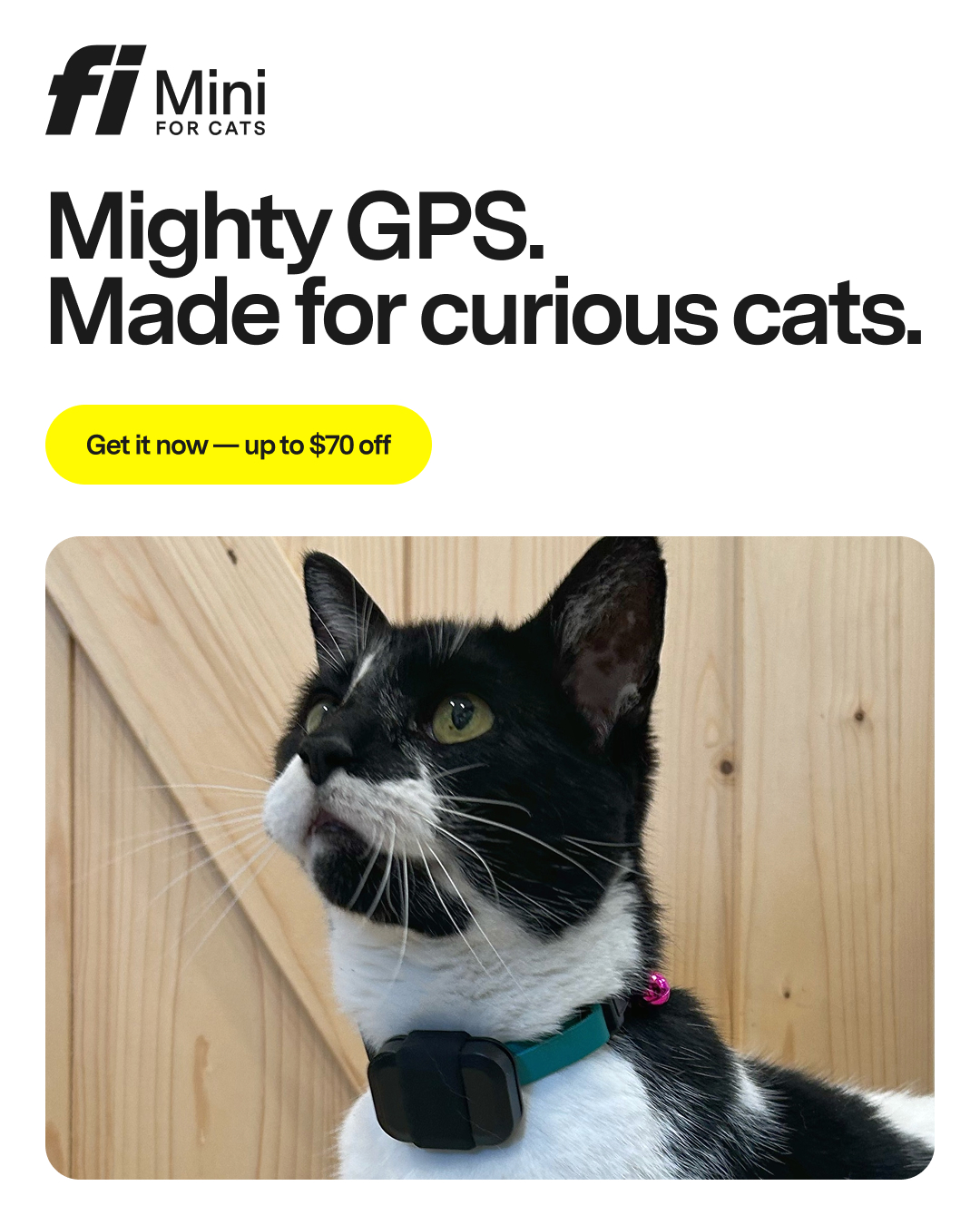 Fi Facebook ad