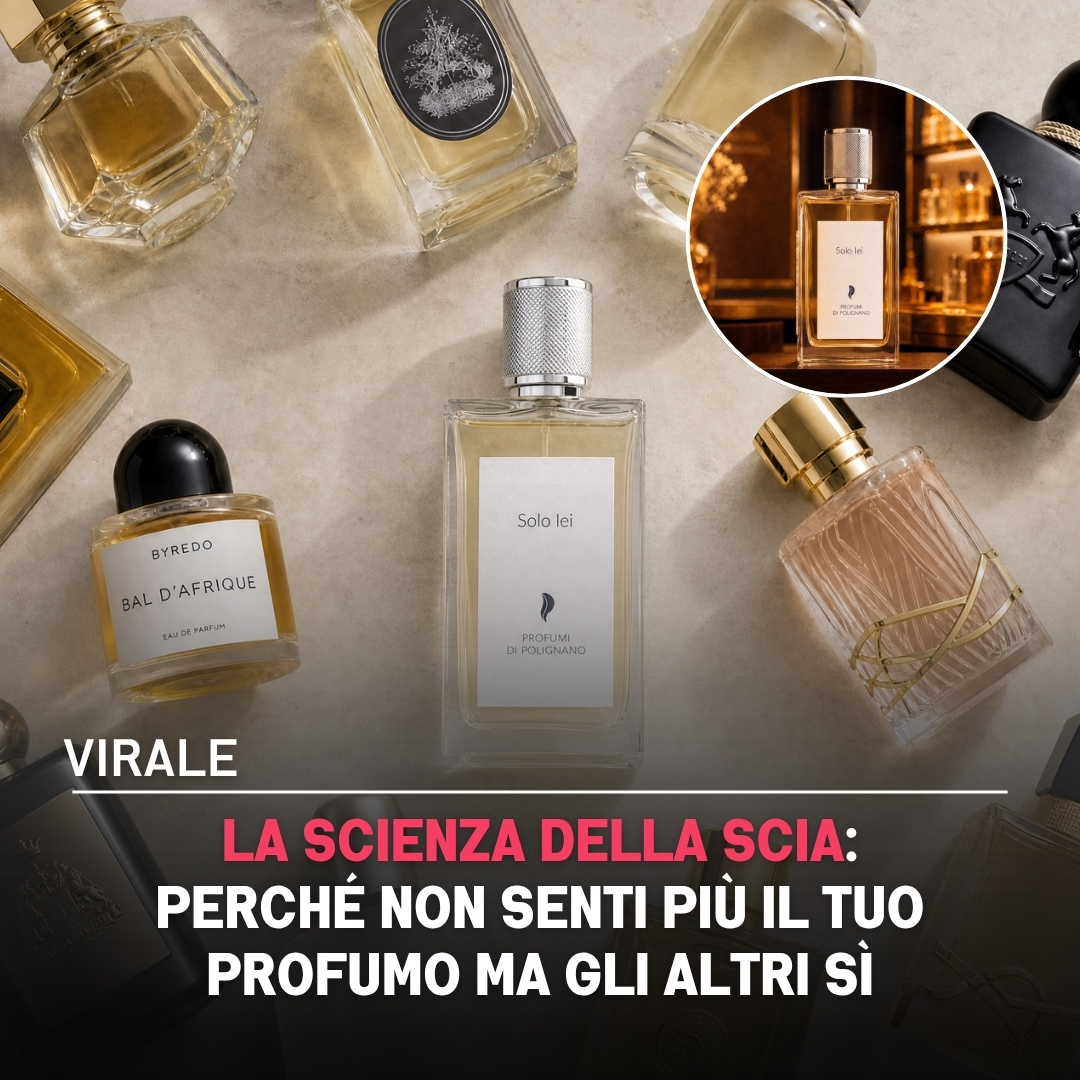 Niche Perfume Hunters Facebook ad