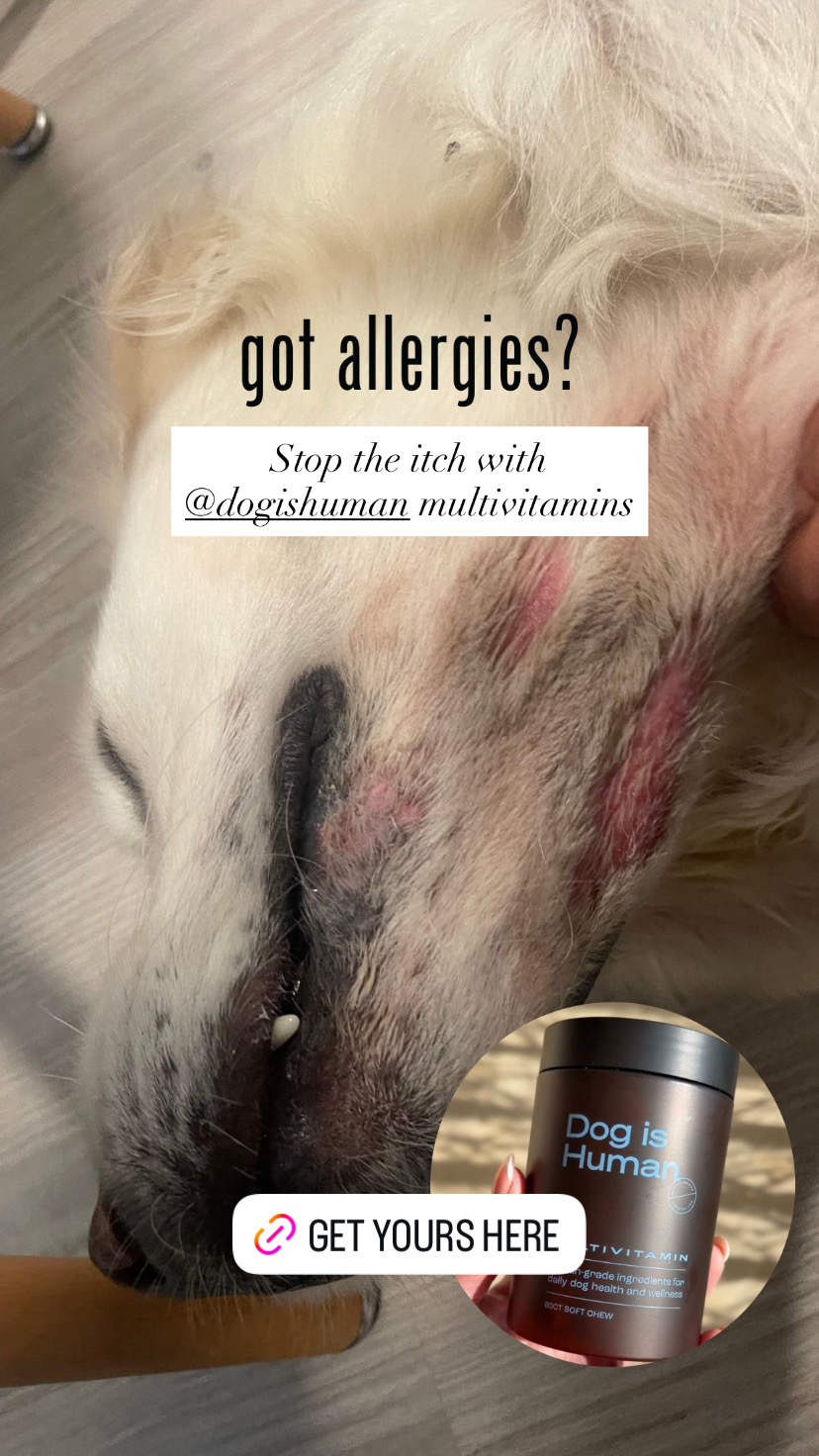 The Wise Vet Facebook ad
