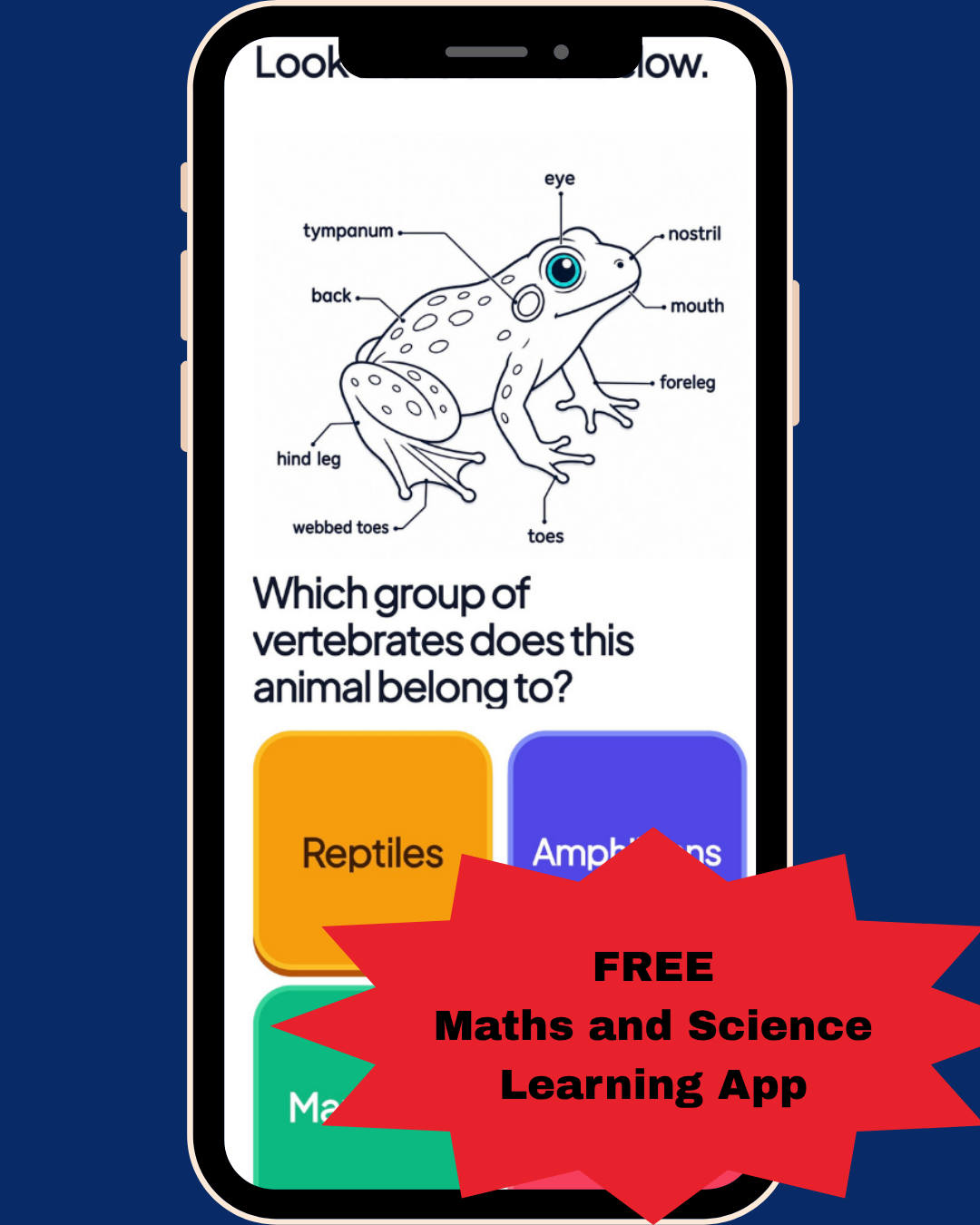 Murid-murid.com Facebook ad: FREE Account for Your Child Now