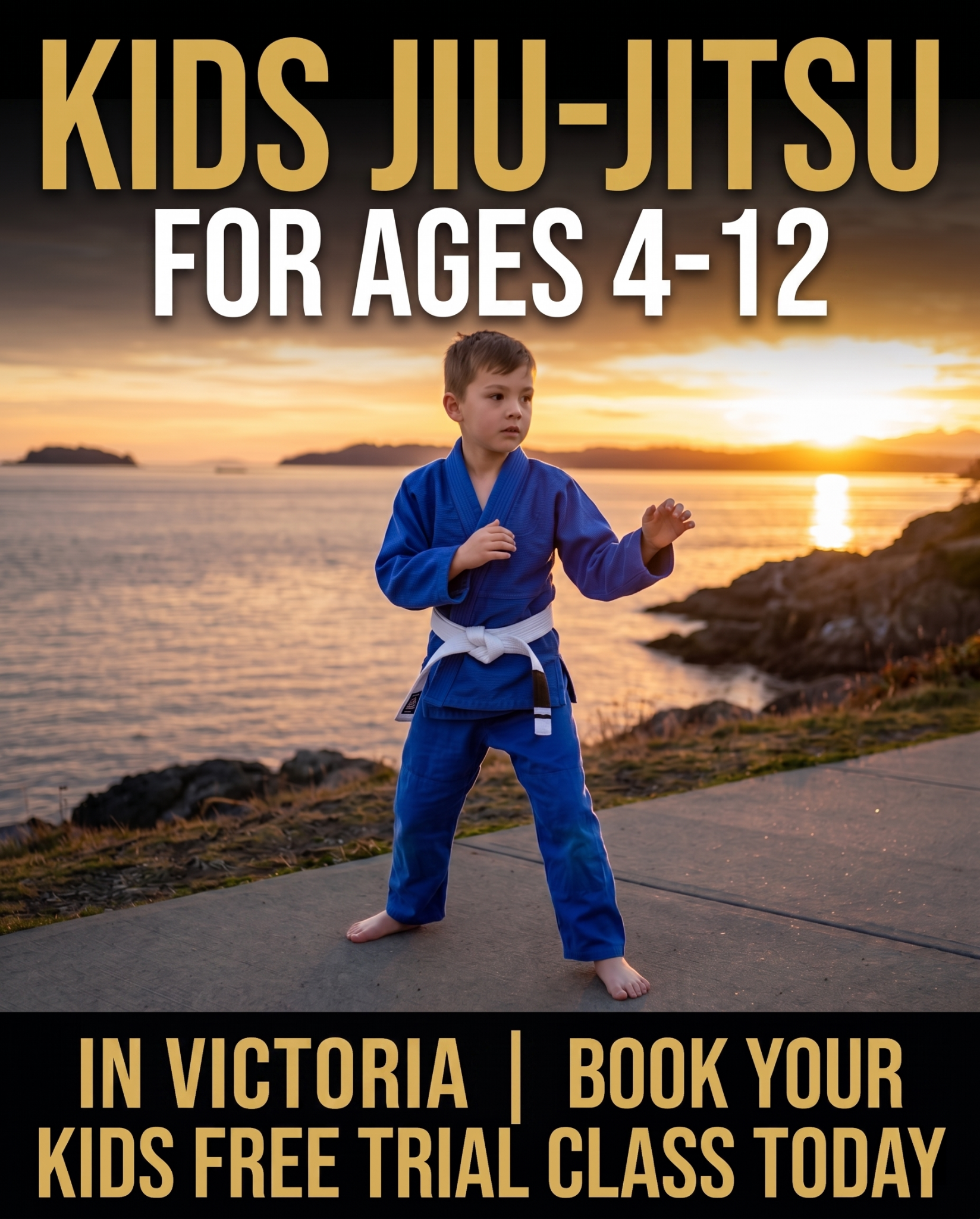 Van Isle Jiu Jitsu Academy Facebook ad