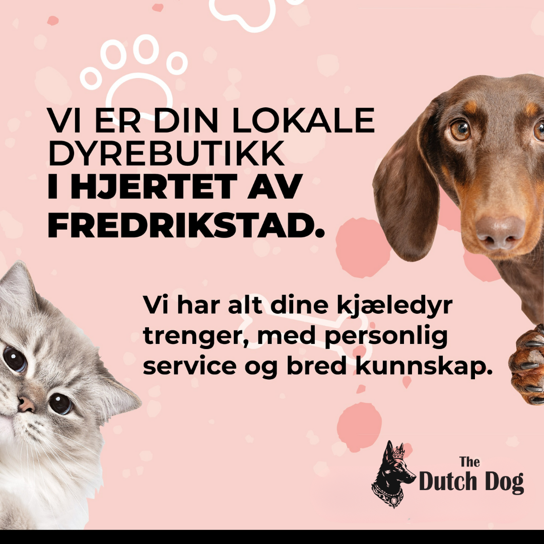 The Dutch Dog Facebook ad: Alt du trenger