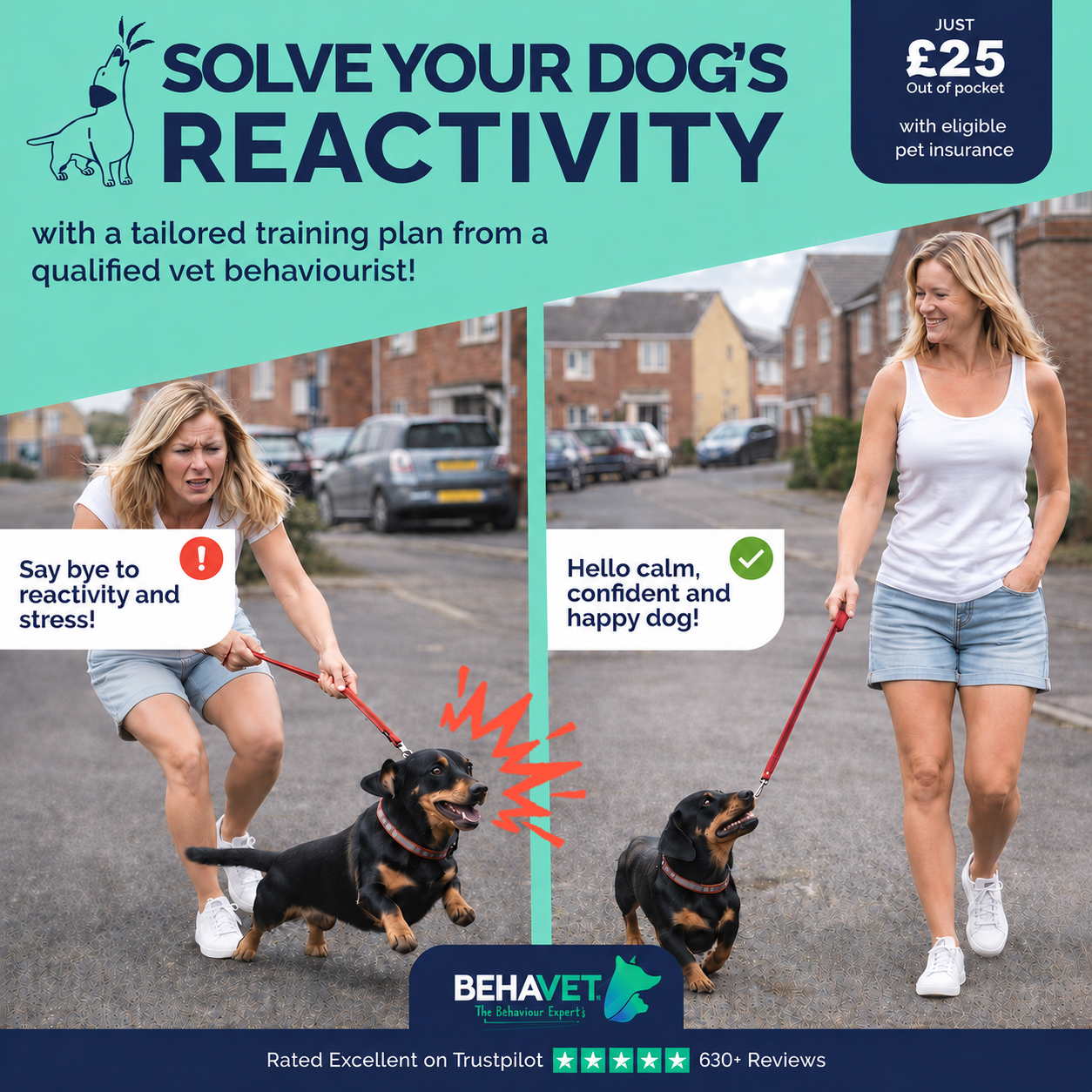 Behavet: The Pet Behaviour Experts Facebook ad