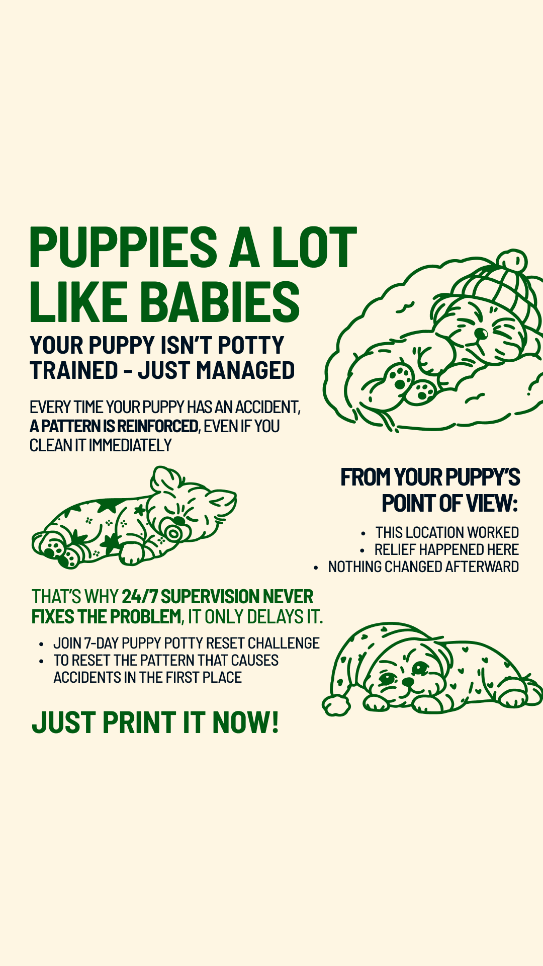 Woofz - Puppy Training Facebook ad