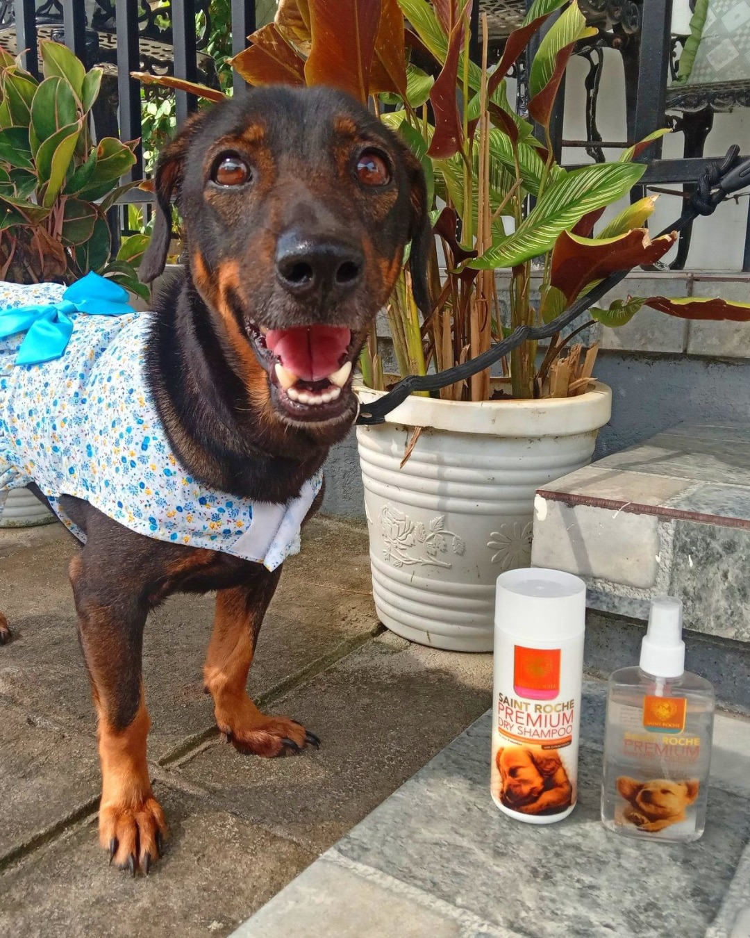Saint Roche Premium Dog Shampoo Facebook ad