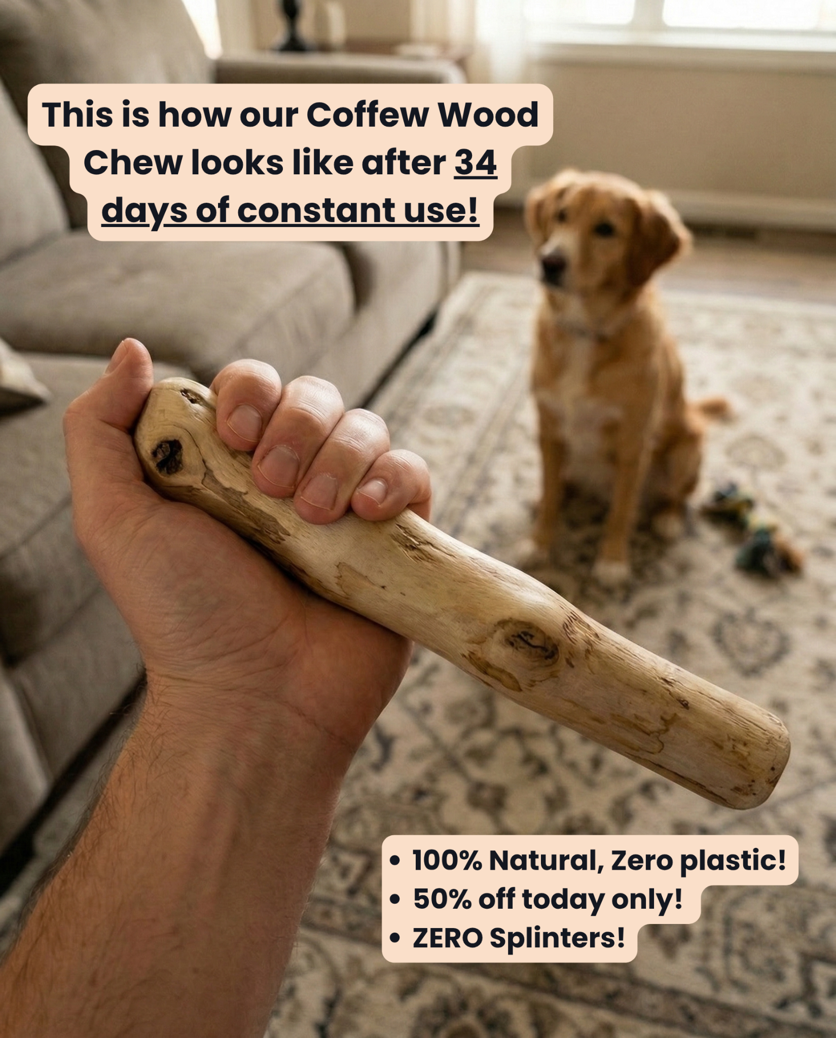 Pet Solace Club Facebook ad: Get 50% Off - Today only!