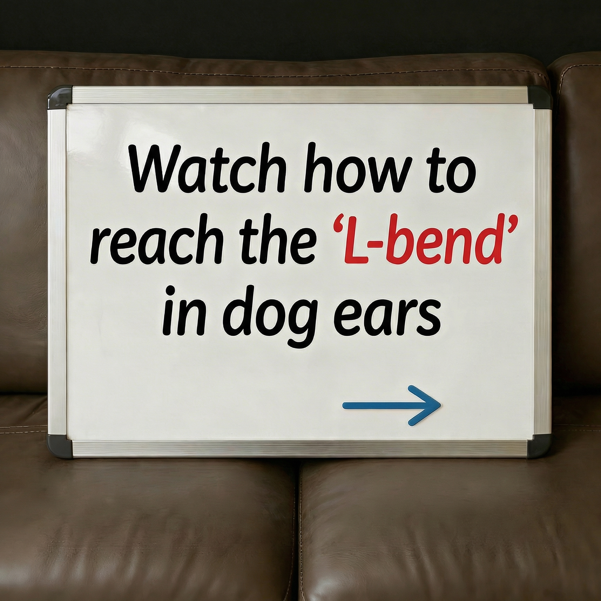 Pup Labs Facebook ad