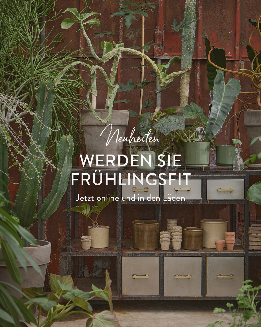 Søstrene Grene Facebook ad