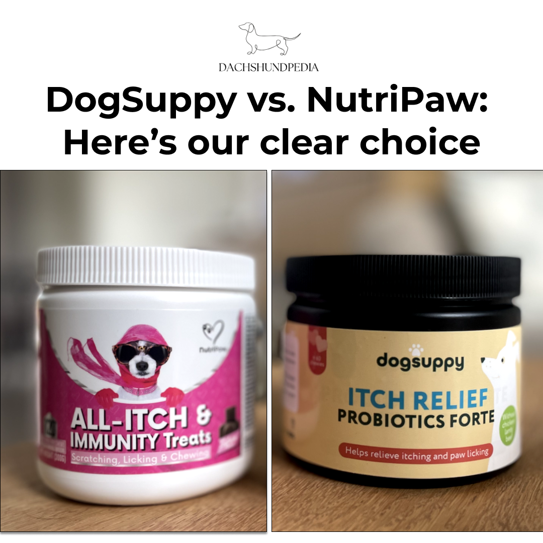 Dachshundpedia Facebook ad: We tried the top 2 probiotic brands, here's our pick: