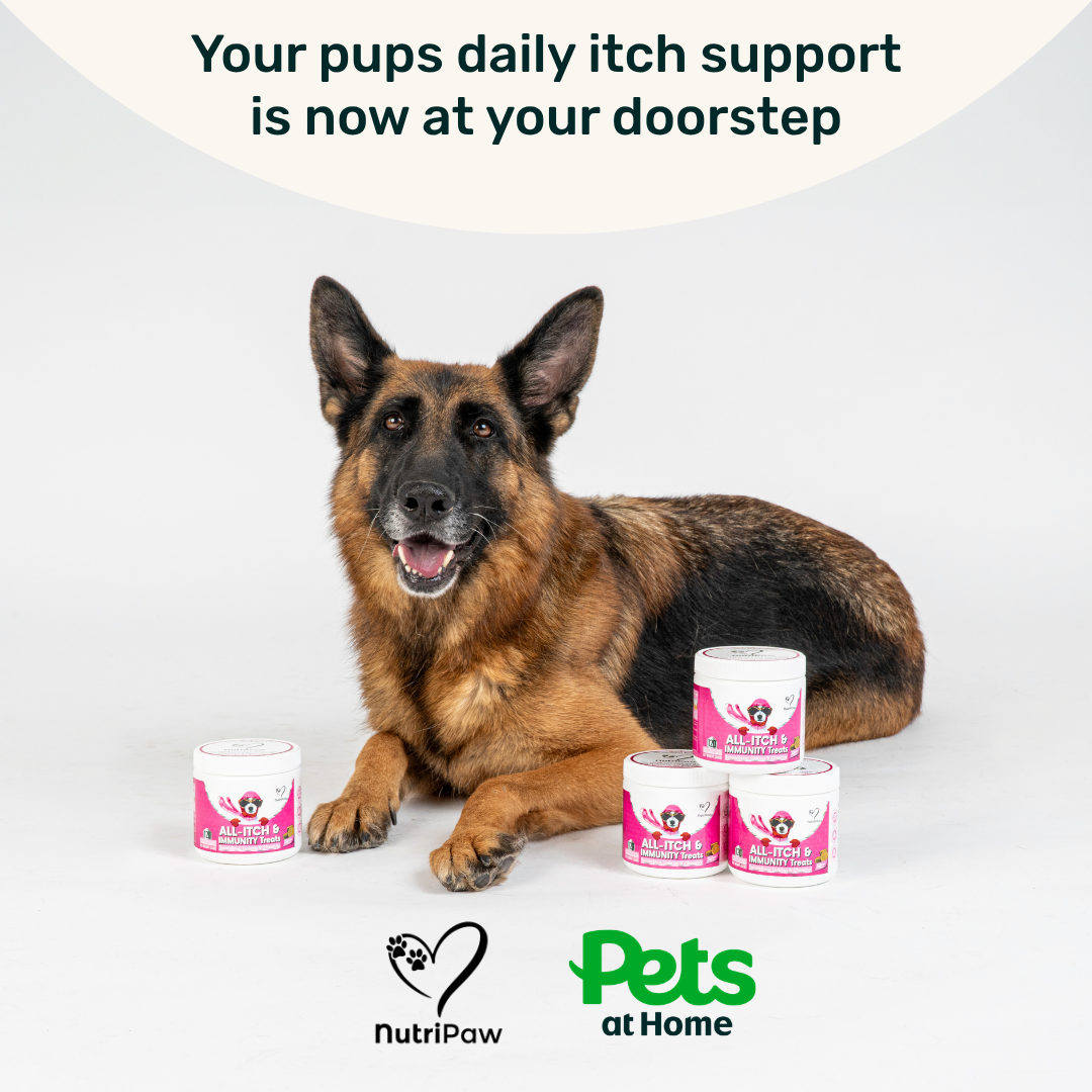 Nutri Paw Facebook ad