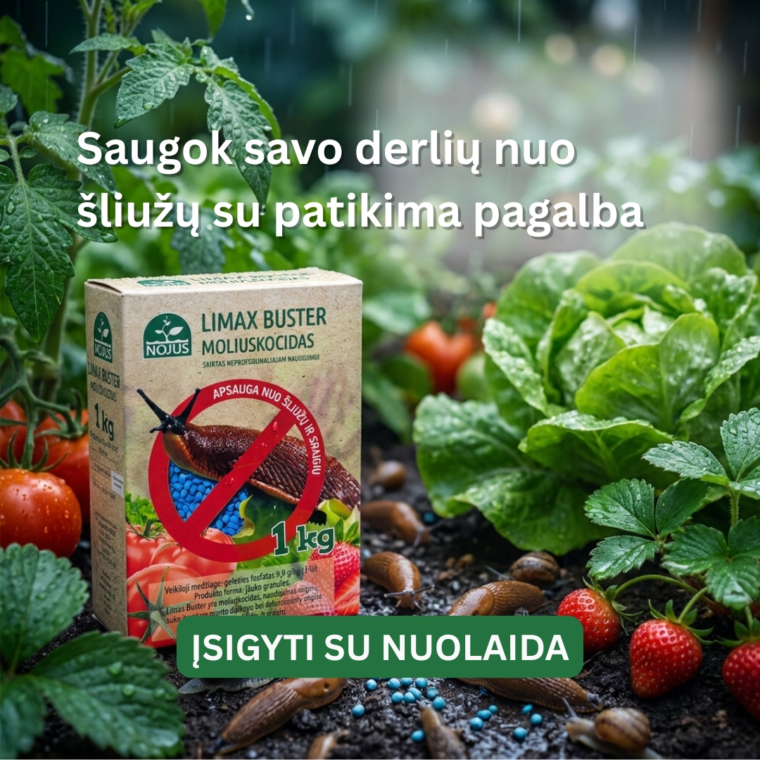 Nojaus sėklos Facebook ad