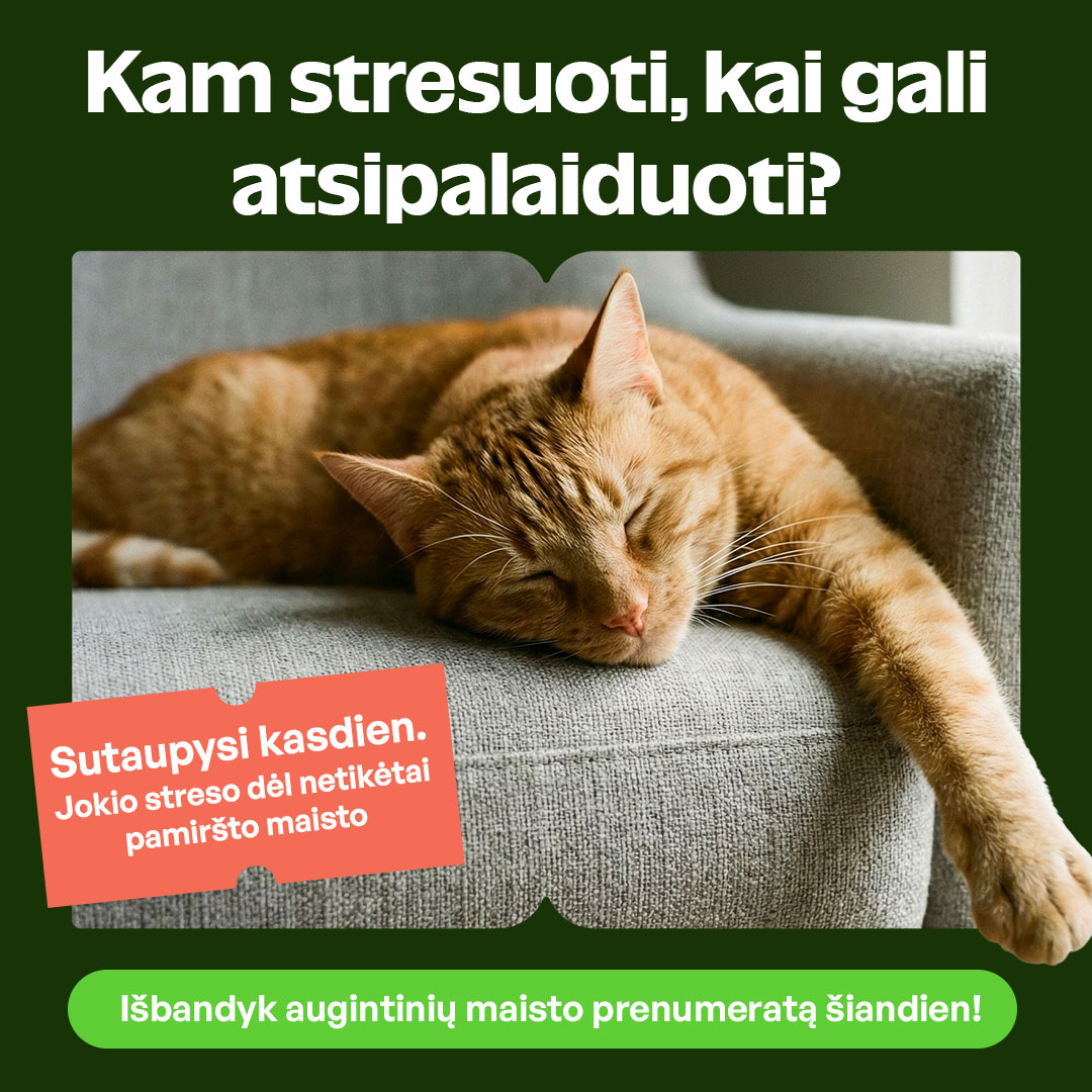 KIKA Facebook ad