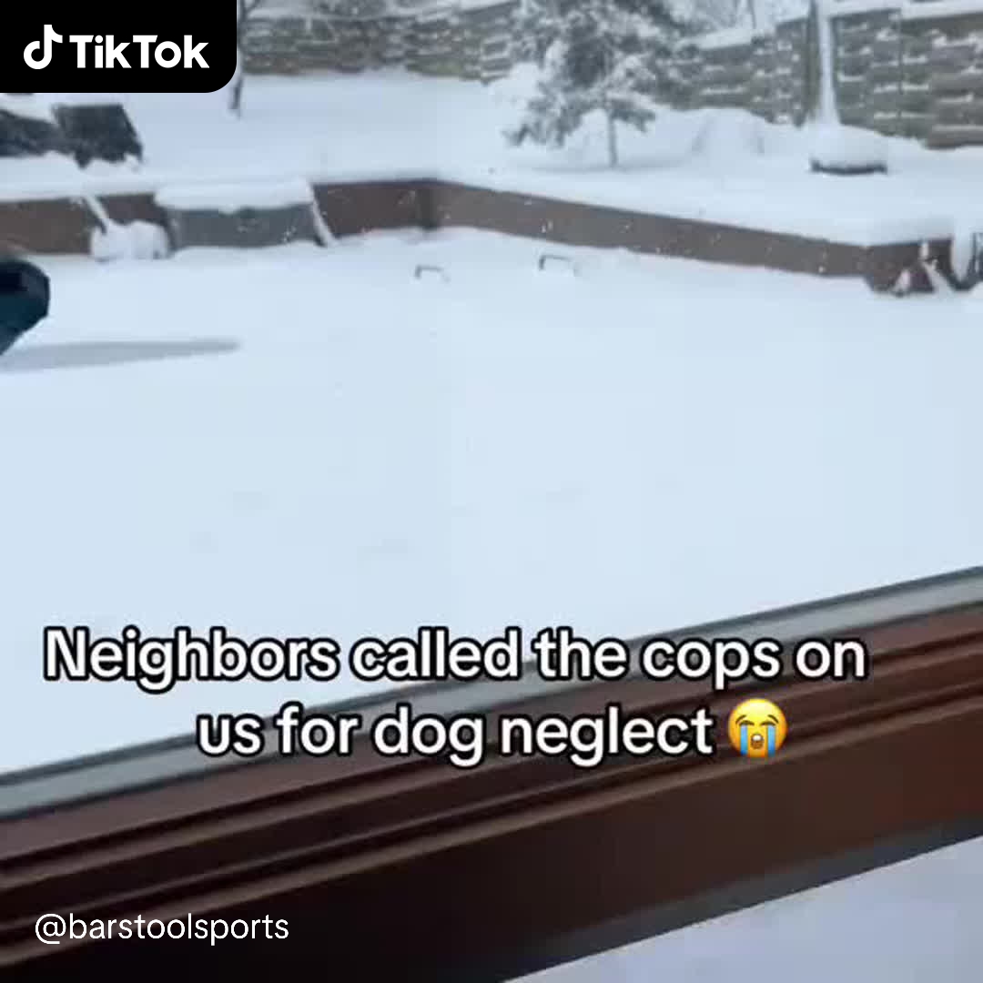 TikTok - US Facebook ad