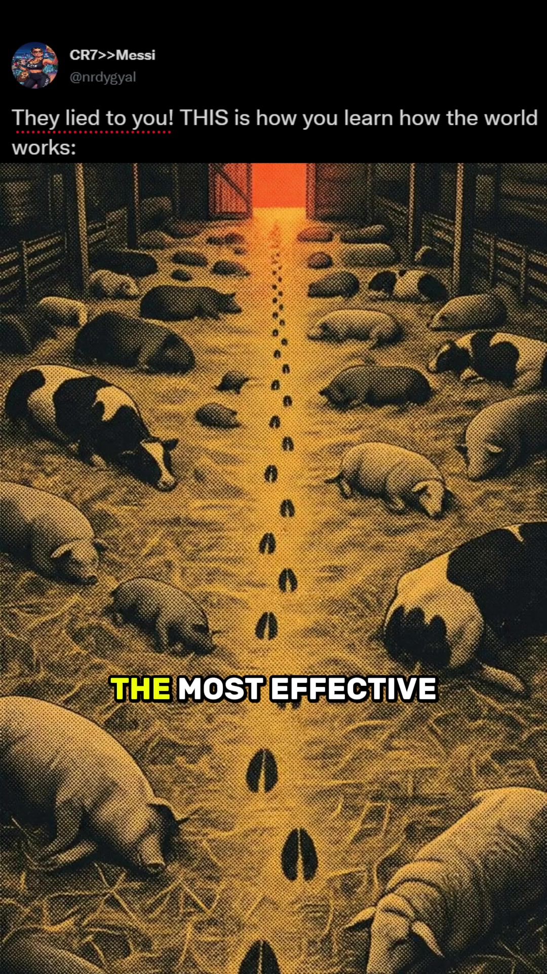 polymaths.unite Facebook ad: Be the Smartest in the Room