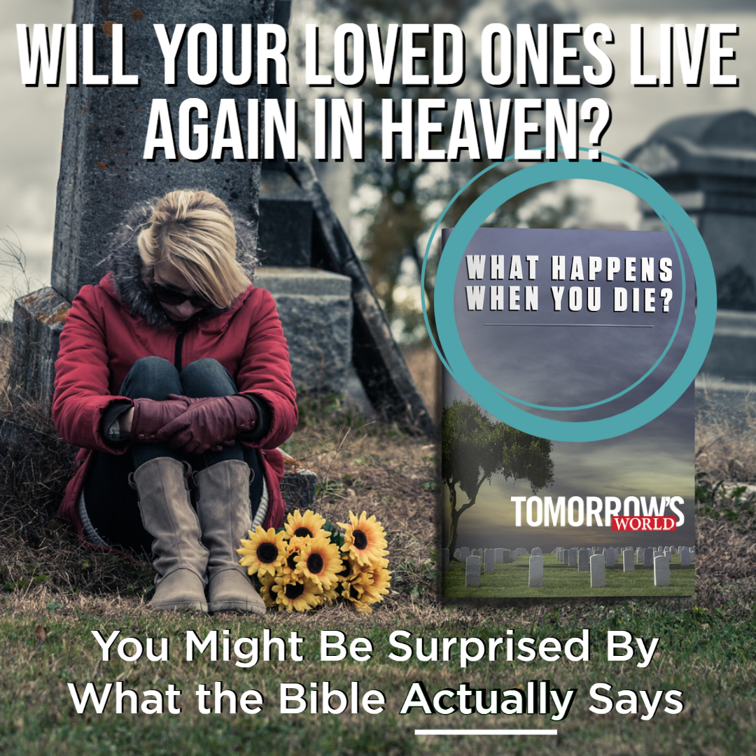 Tomorrow's World - Magazine and Television program Facebook ad