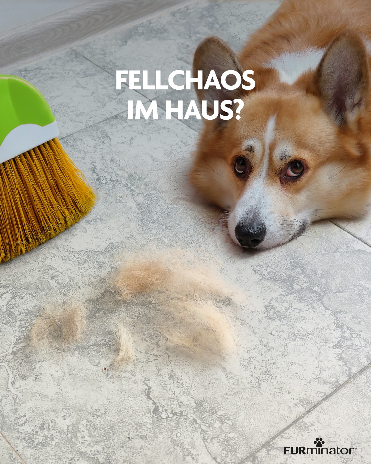 FURminator Deutschland Facebook ad: Das deShedding Tool entfernt bis zu 90% der…