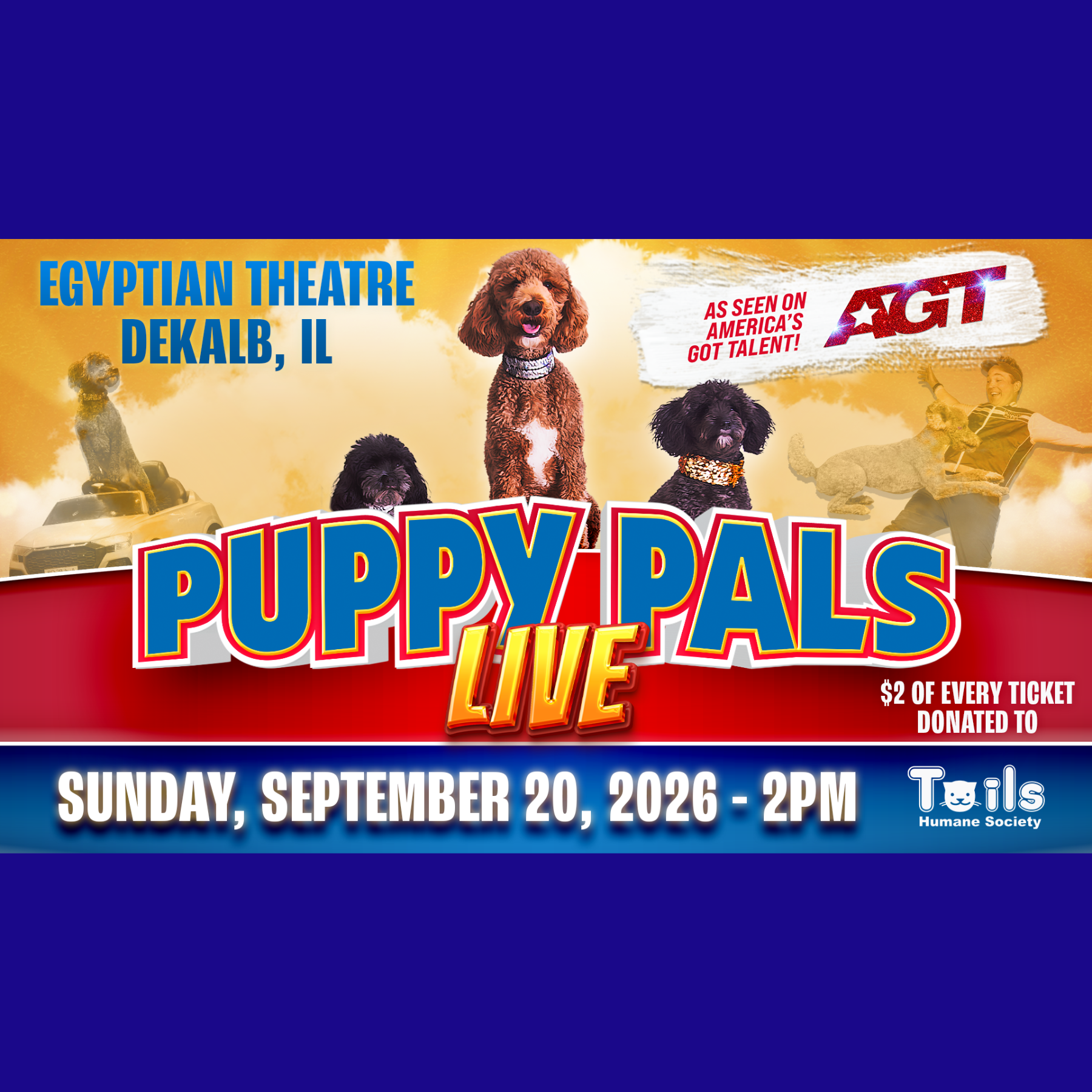 Egyptian Theatre Facebook ad