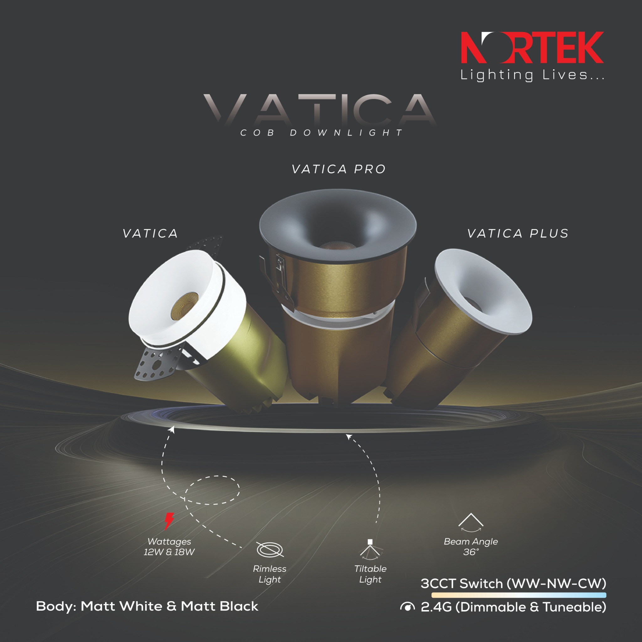 Nortek Lighting Facebook ad: At Nortek, light flows through our veins.