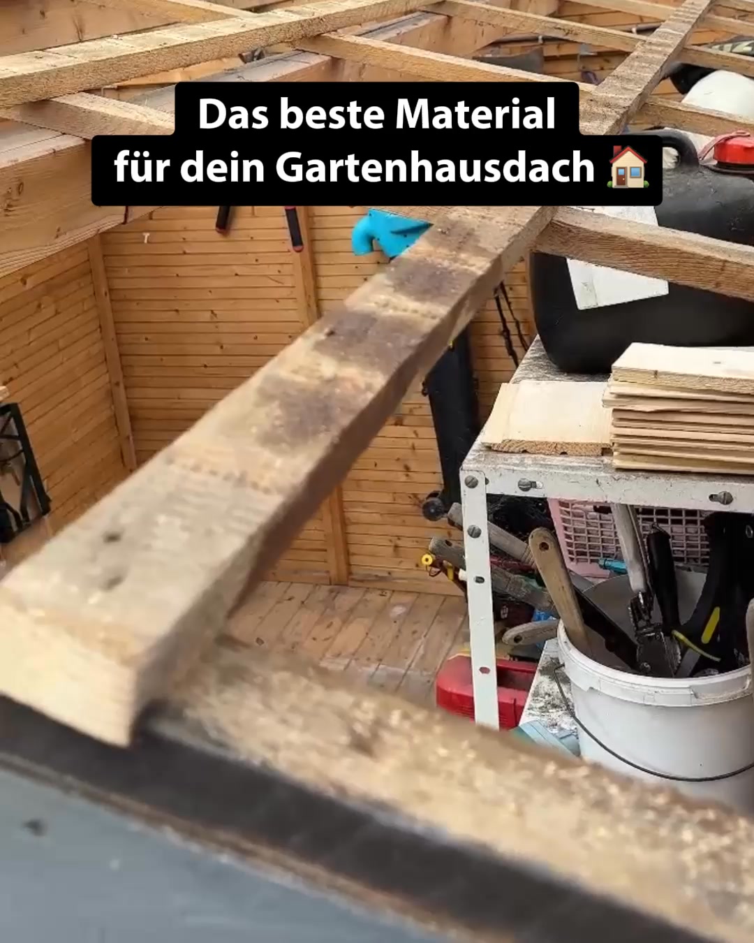 dachbleche24 Facebook ad: Das richtige Dach für dein nächstes Vorhaben