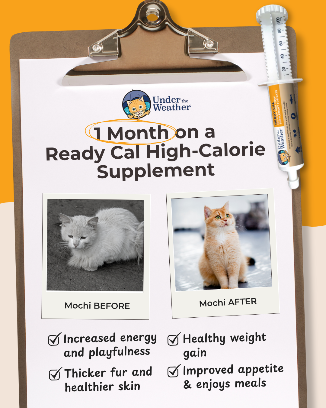 Under the Weather Pet Facebook ad: Is Your Cat Losing Weight?