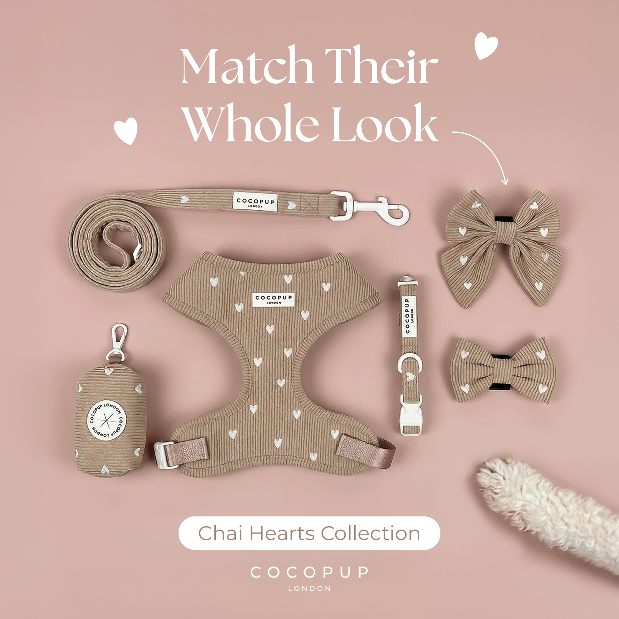 Cocopupuk Facebook ad