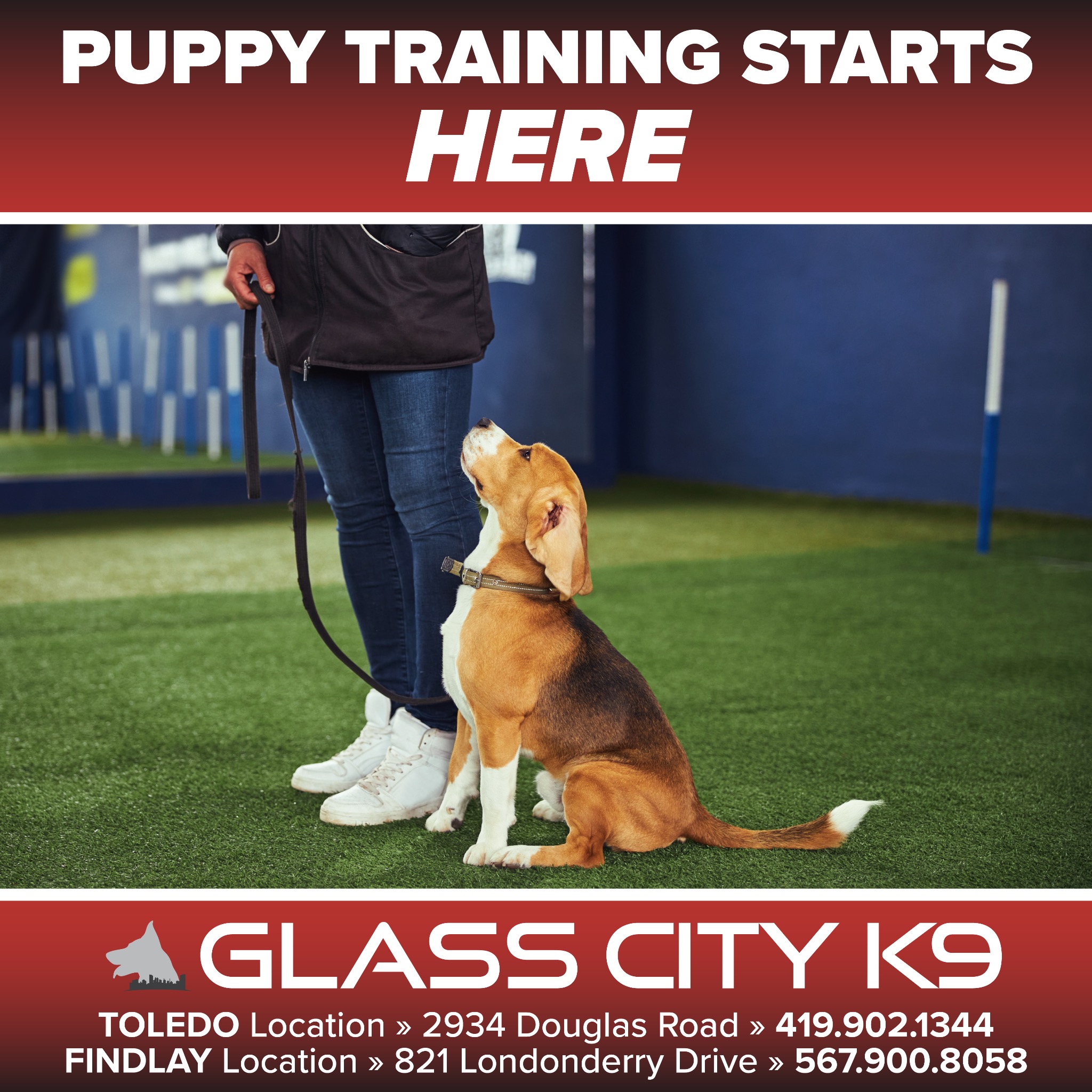 Glass City K9 LLC - Dog Training in Toledo, OH Facebook ad from Mar 5, 2026